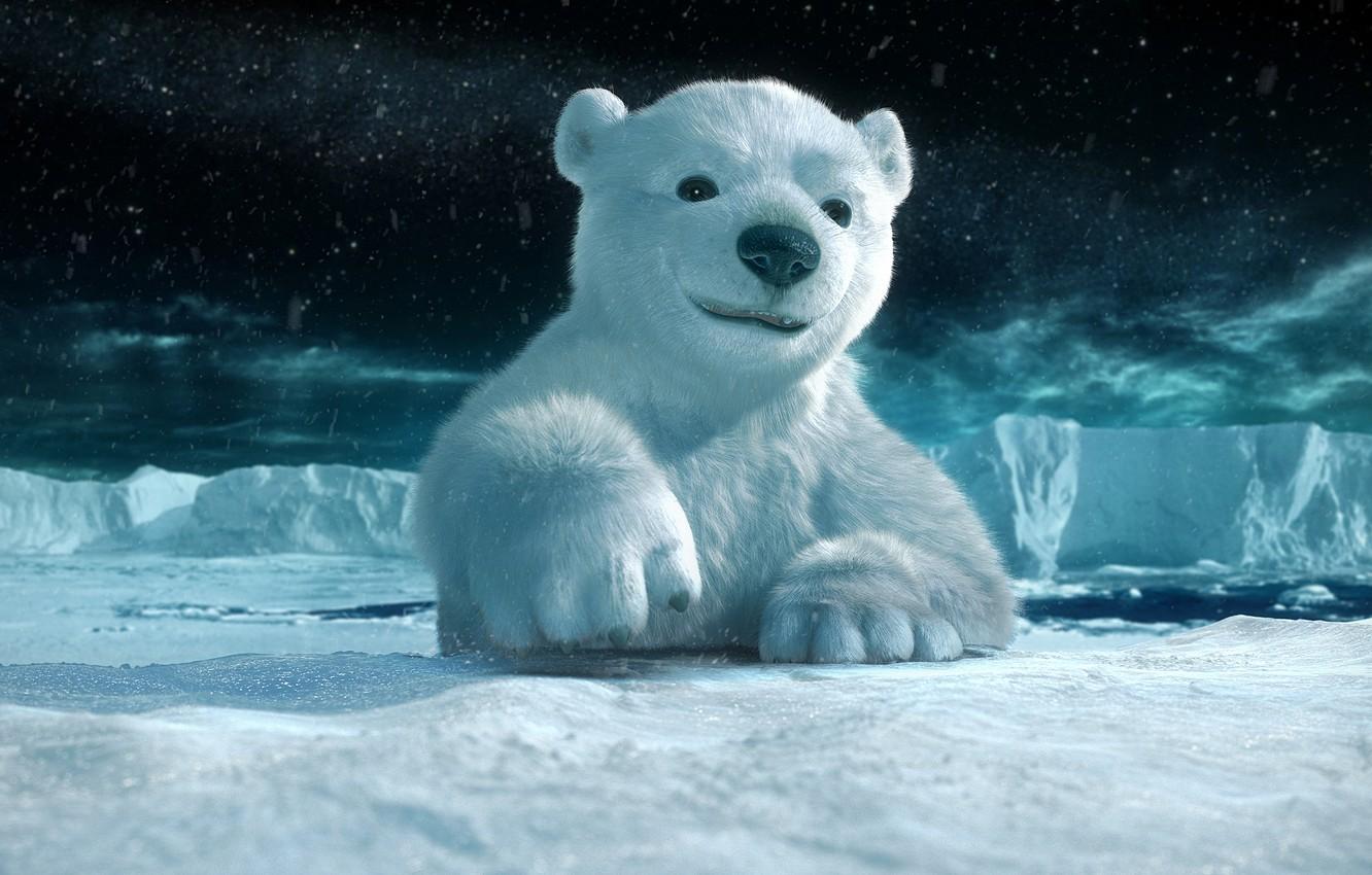 Wallpaper ice, snow, polar bear image for desktop, section
