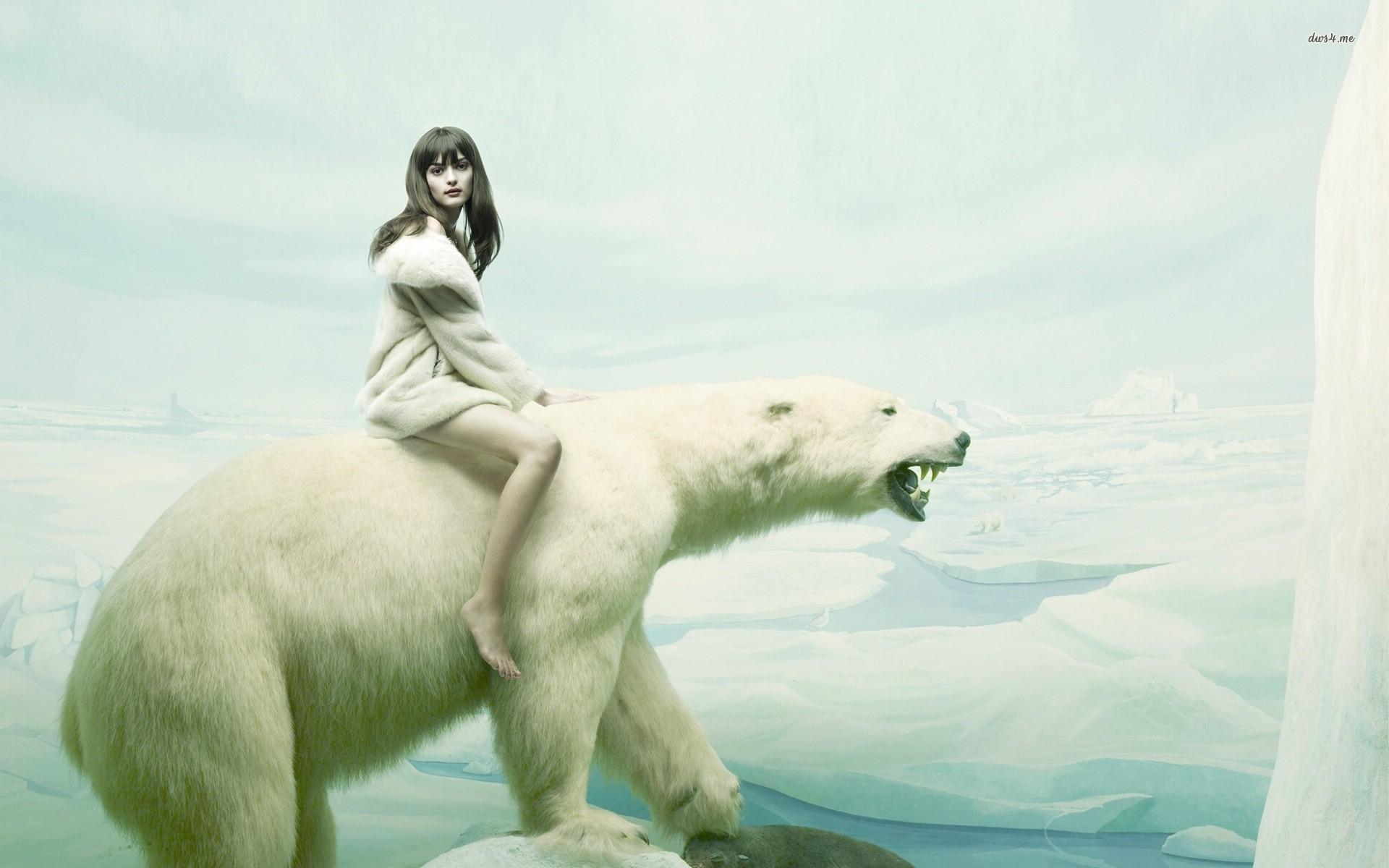Polar Bear On Melting Ice HD Desktop Wallpaper Bear