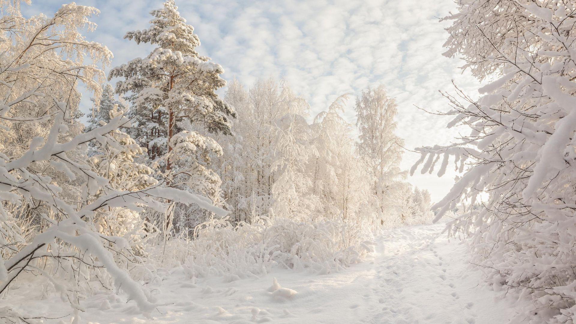 Beautiful snowy Russian winter (HD wallpaper). VolGanga. Winter landscape, Winter nature, Winter photo
