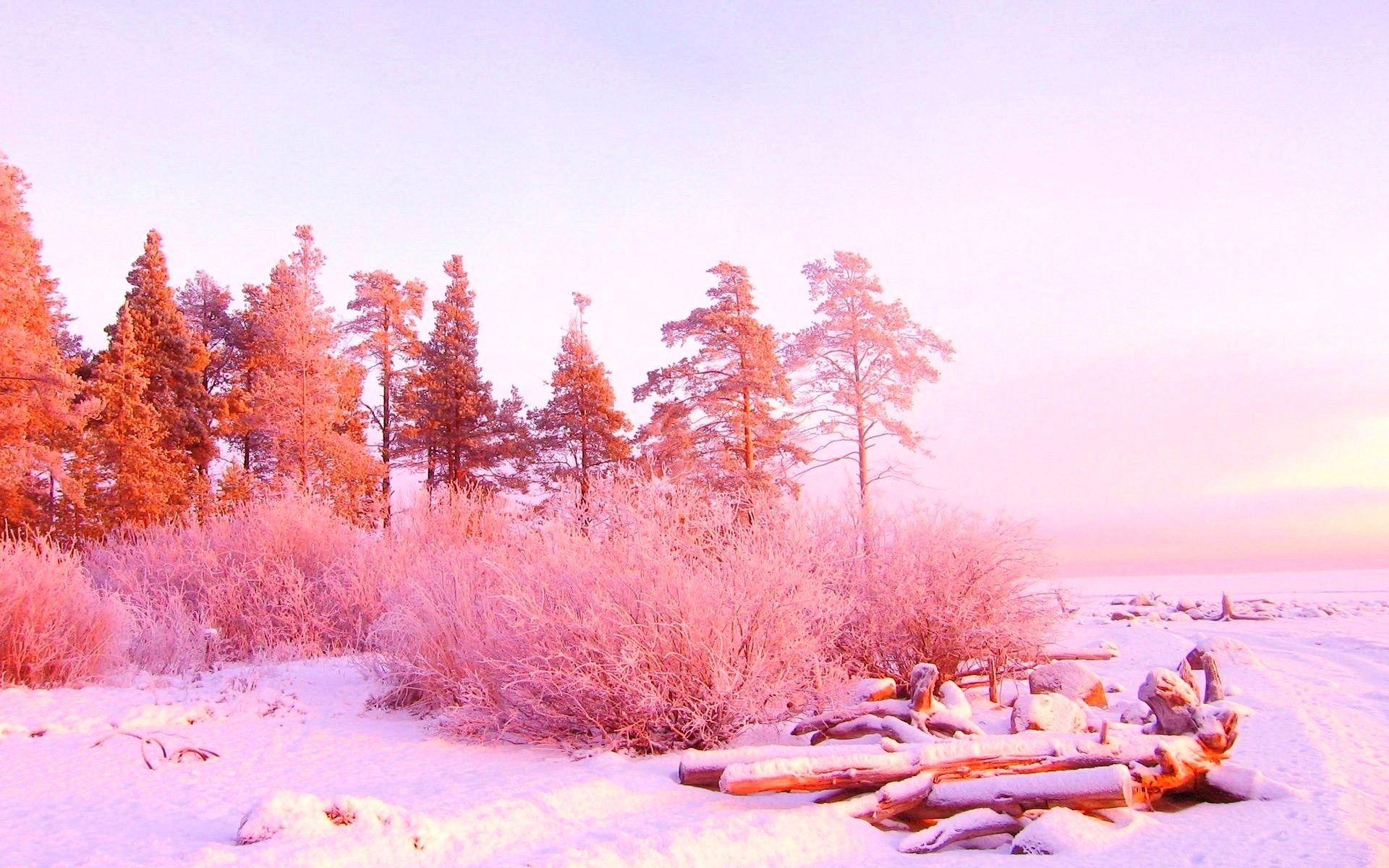 Super pretty pink winterscape. Winter wallpaper, Vintage landscape, Pink and gold wallpaper