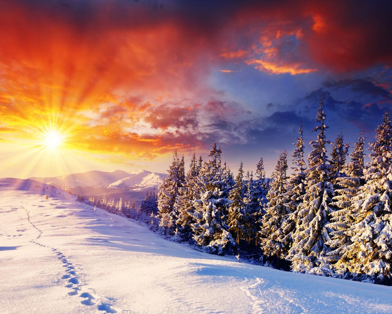 Free download Sunny Winter Day wallpaper ForWallpapercom