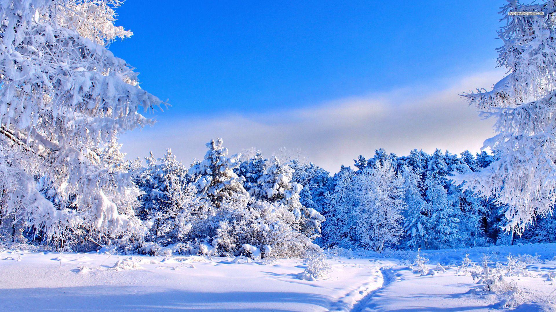 Sunny Winter Day Wallpapers - Wallpaper Cave