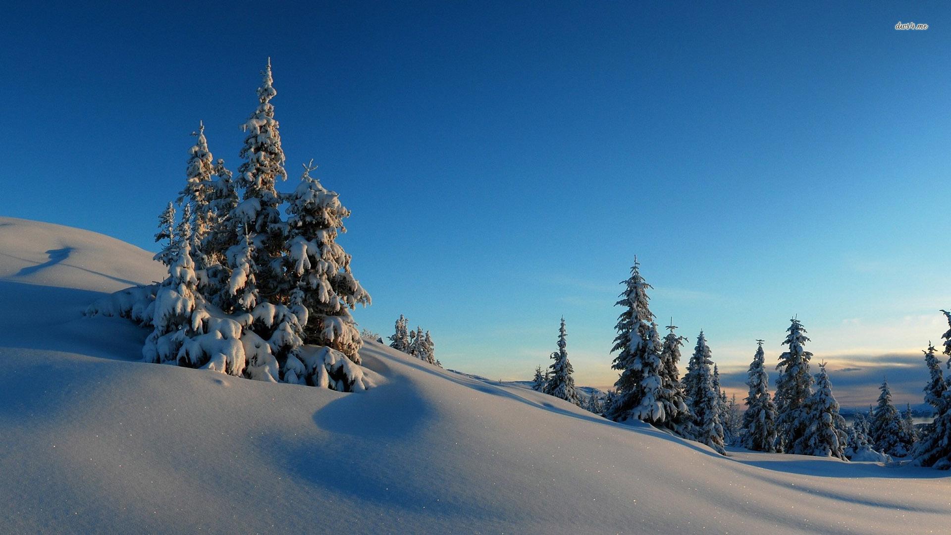 Sunny winter day in the snowy mountains wallpaper