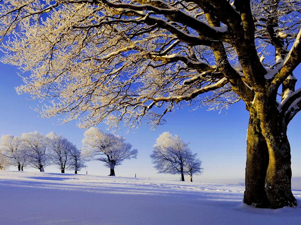 Sunny Winter Day Wallpaper, Image Collection Of Sunny