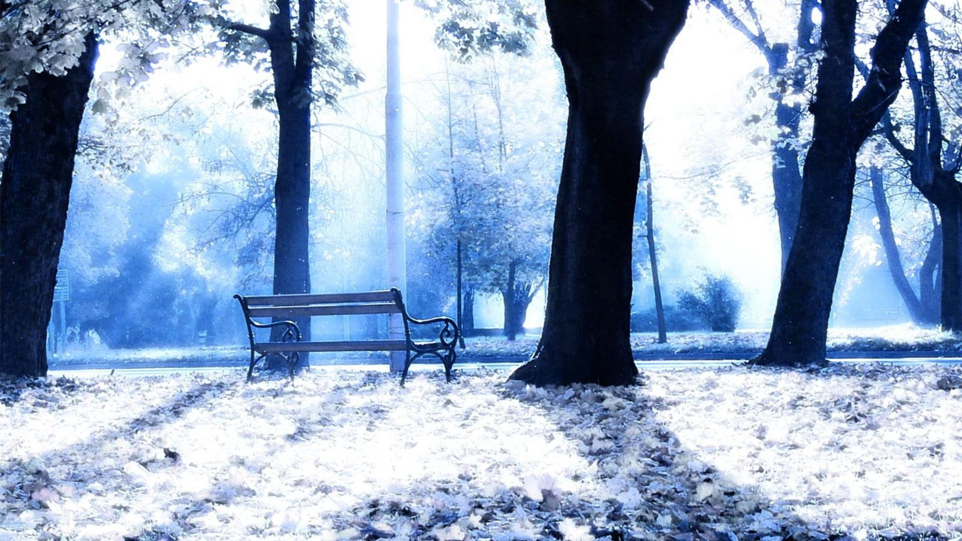 Sunny winter day in the park nature wallpaper