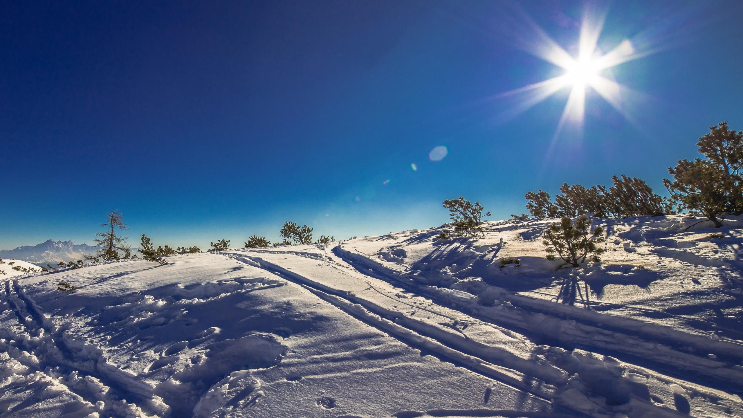 Download wallpaper: Sunny day in this Winter landscape 2560x1440
