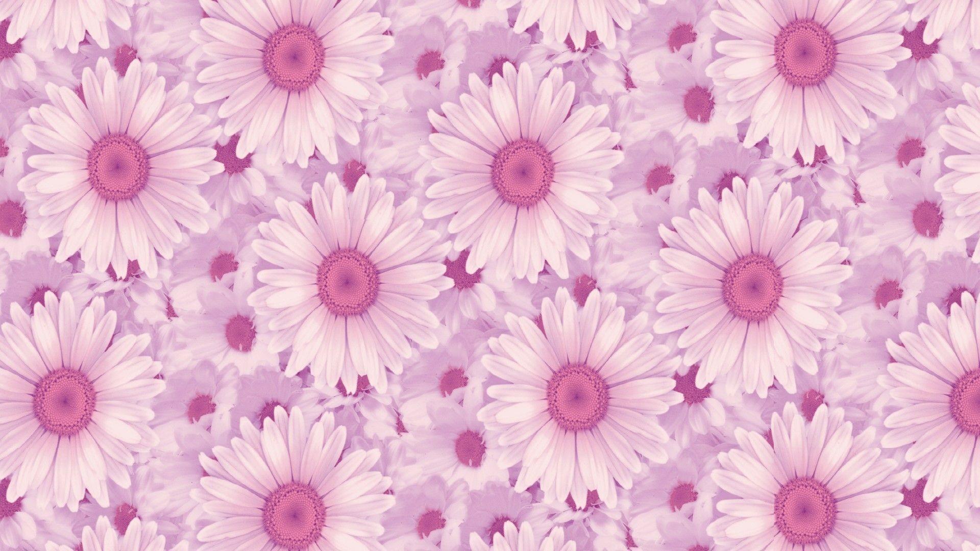 Pink Background Tumblr For Windows Laptop