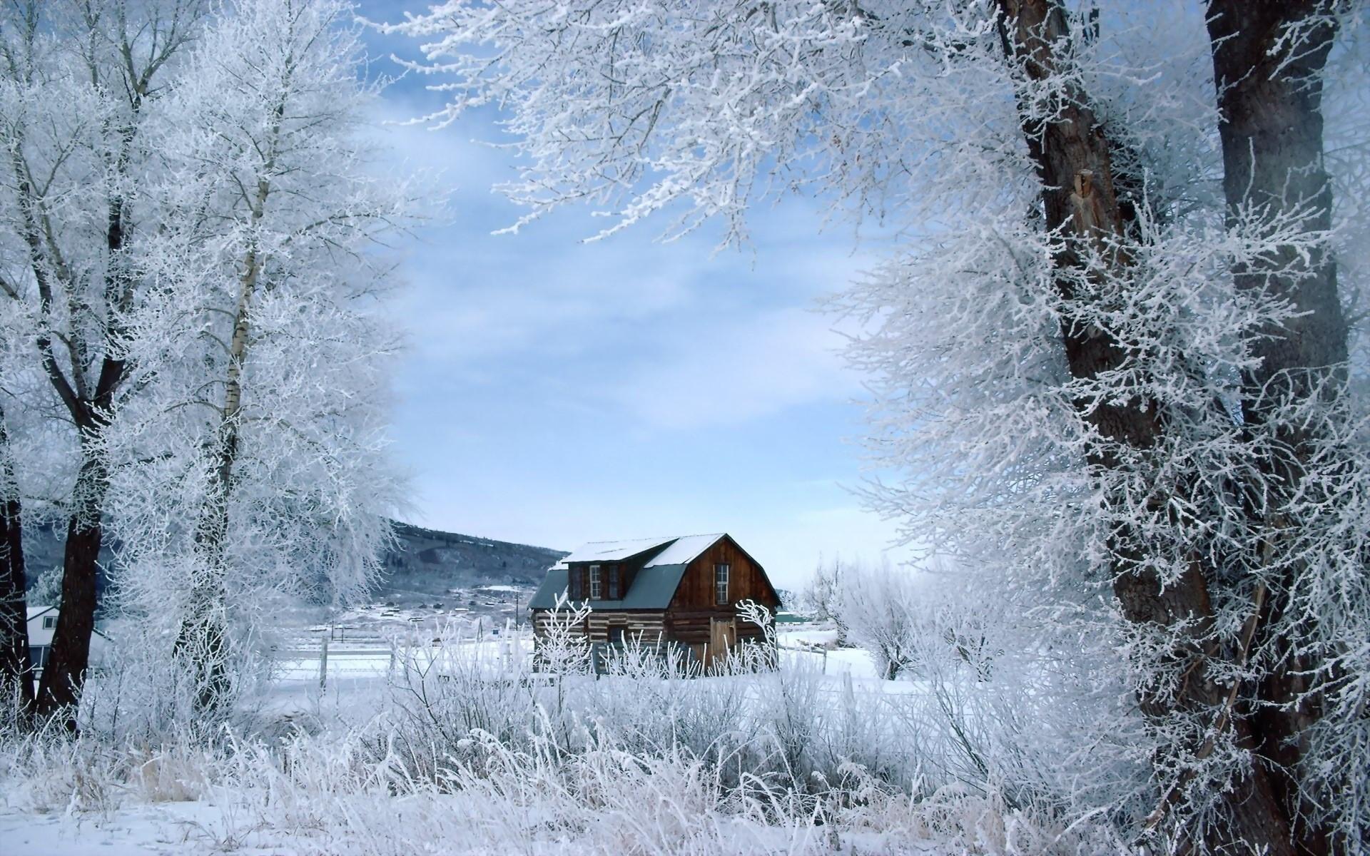 House, Trees, Hoarfrost wallpaper and background. Nature