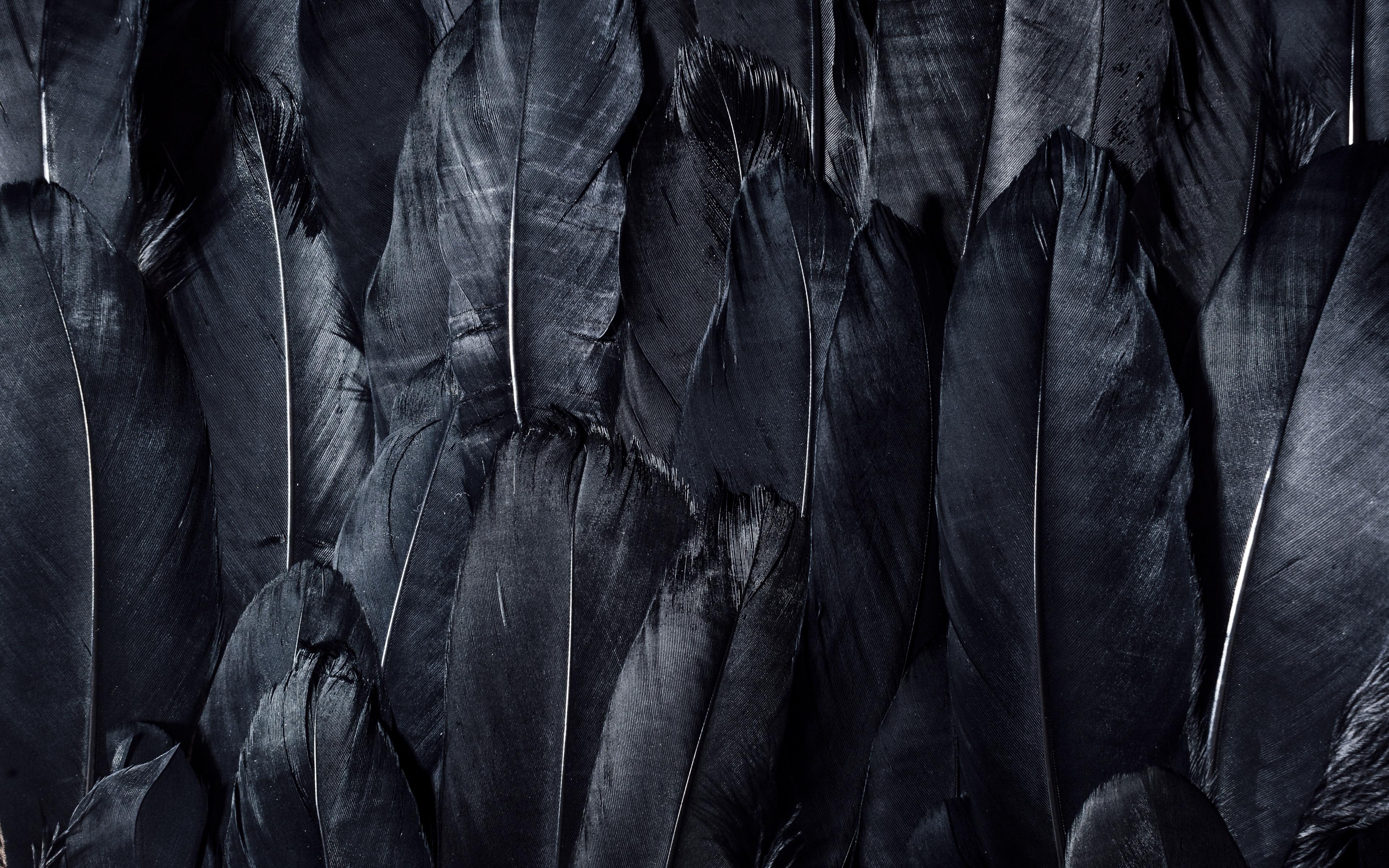 Download wallpaper 3840x2400 feathers, black, dark 4k ultra