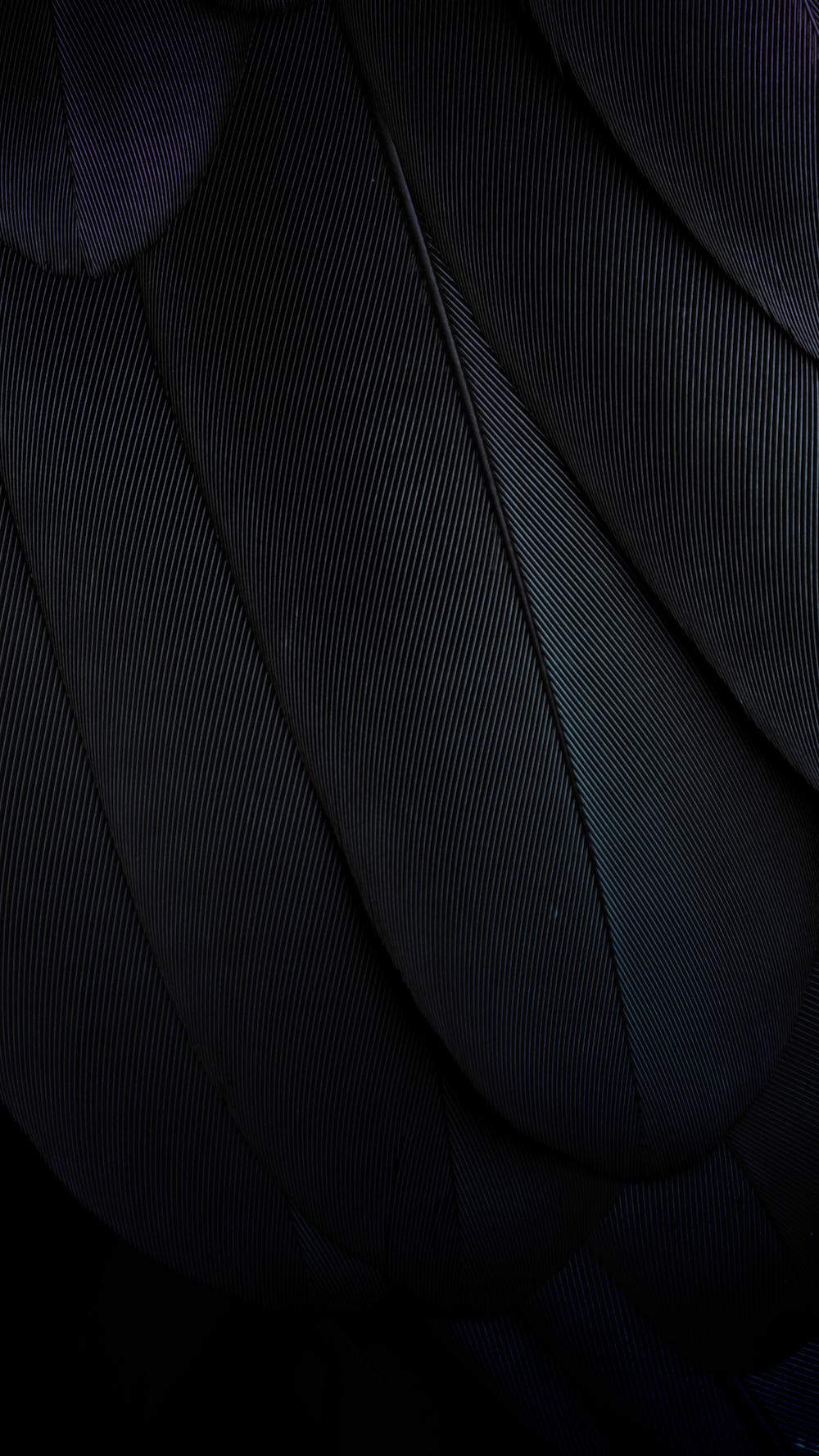 Wet Dark Feather HD Photography Wallpaper 129