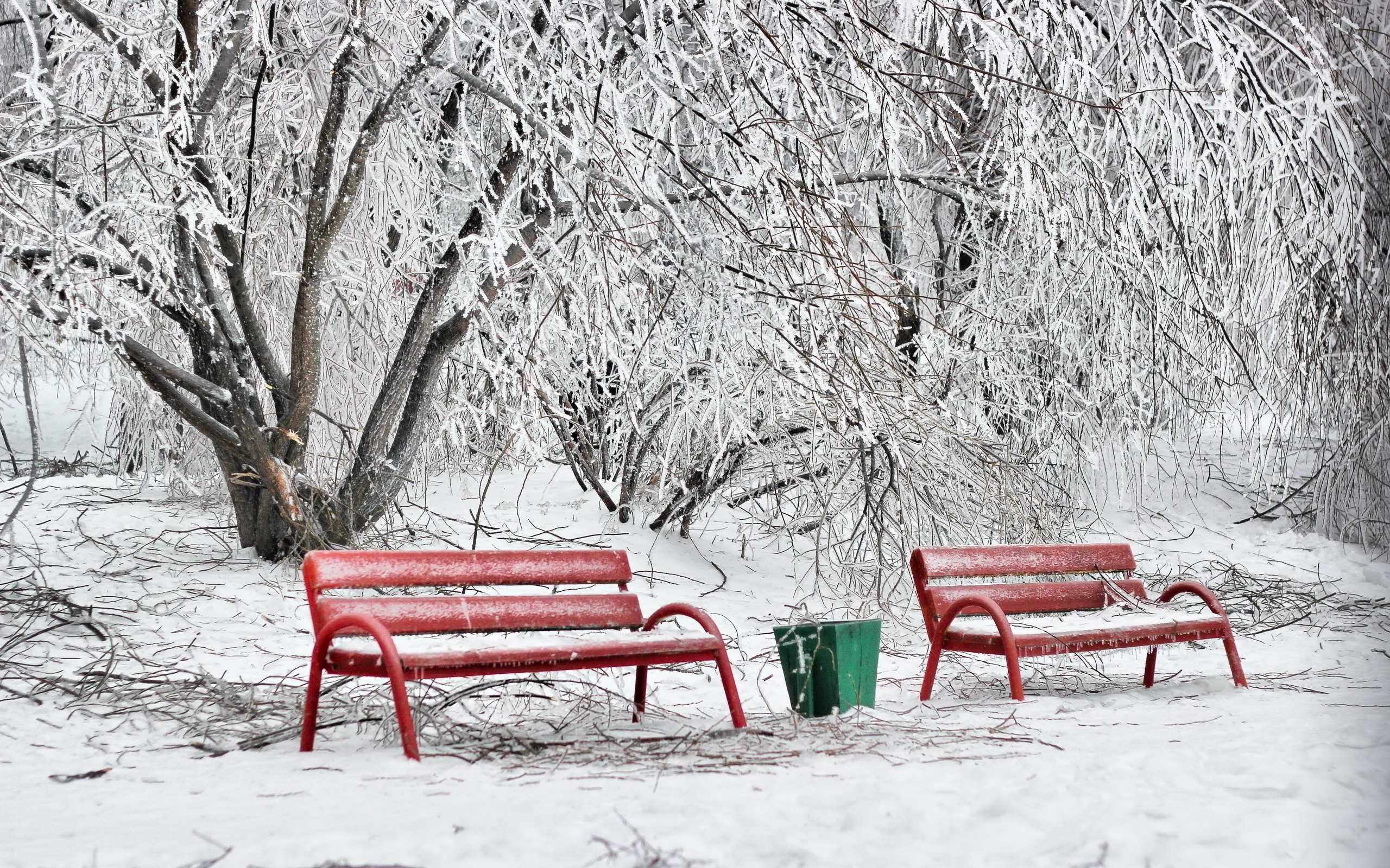 Benches, Winter, Hoarfrost, Snow, Cold, Ballot box