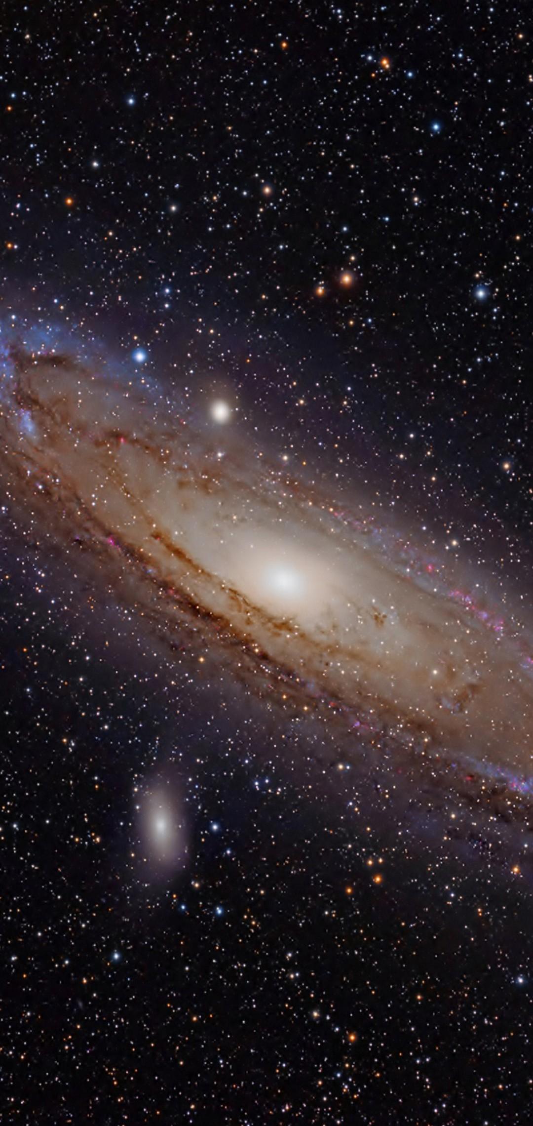 Andromeda Wallpaper - [1080x2280]