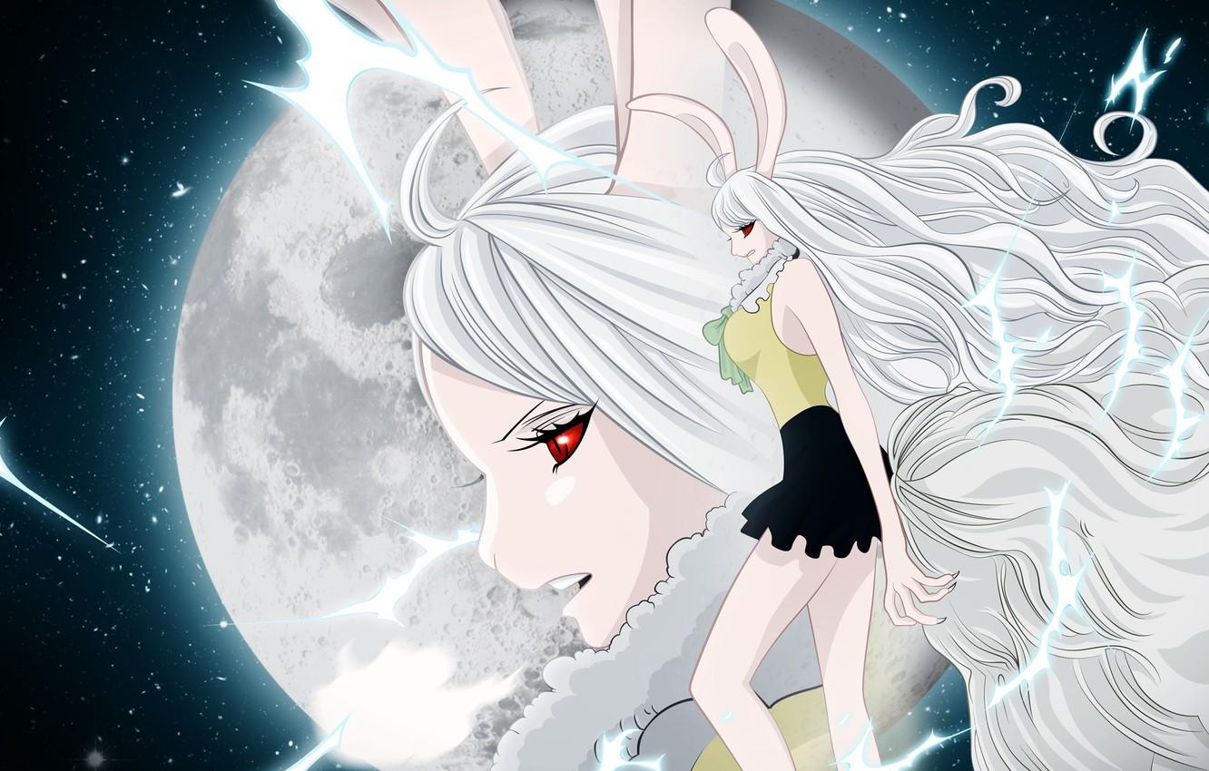 Wallpaper girl, night, the moon, One Piece image