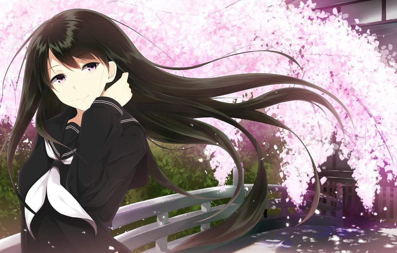 Wallpaper the sky, girl, petals, Sakura, The wind, Anime
