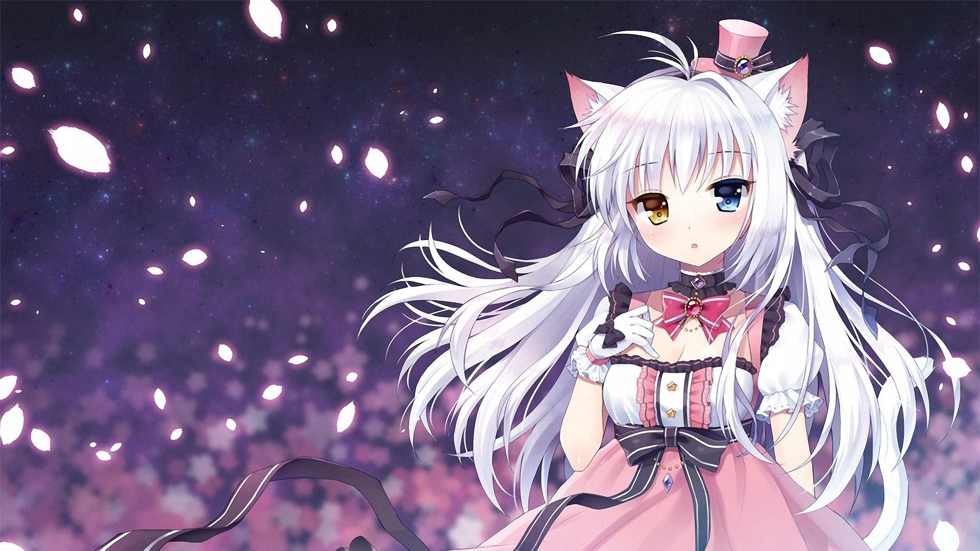 Anime Cat Girl HD Wallpaper Free Download for Desktop PC Laptop