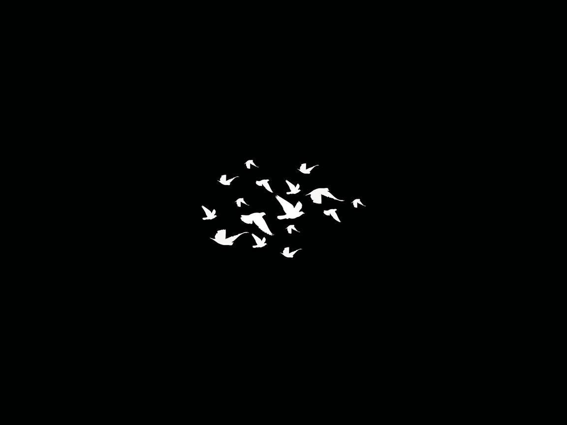 Birds Flying Minimalist Dark 4k 1152x864 Resolution