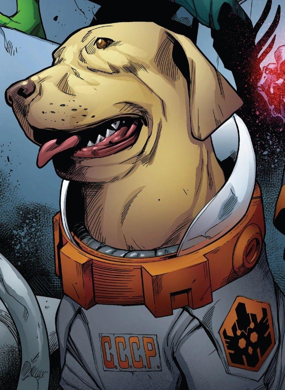 Marvel. Marvel, dc characters, Dog