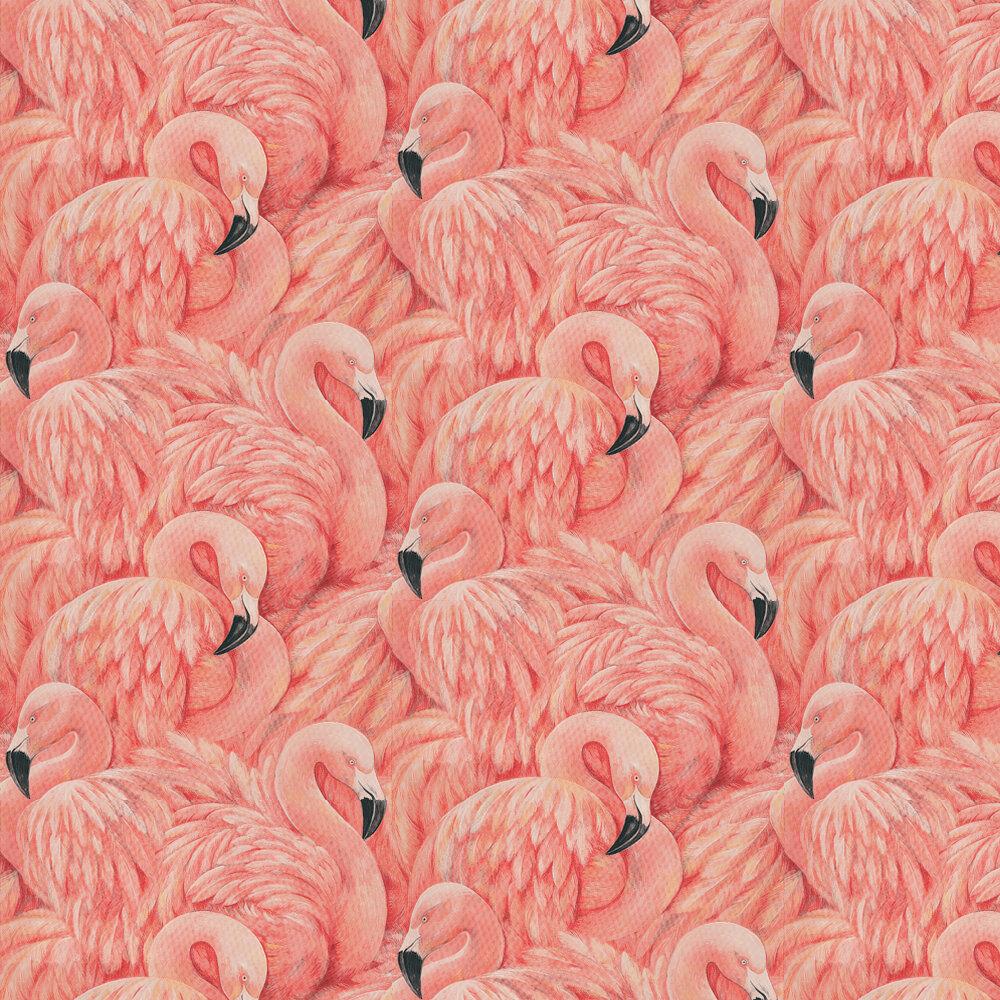 Flamingos by Albany, Wallpaper Direct