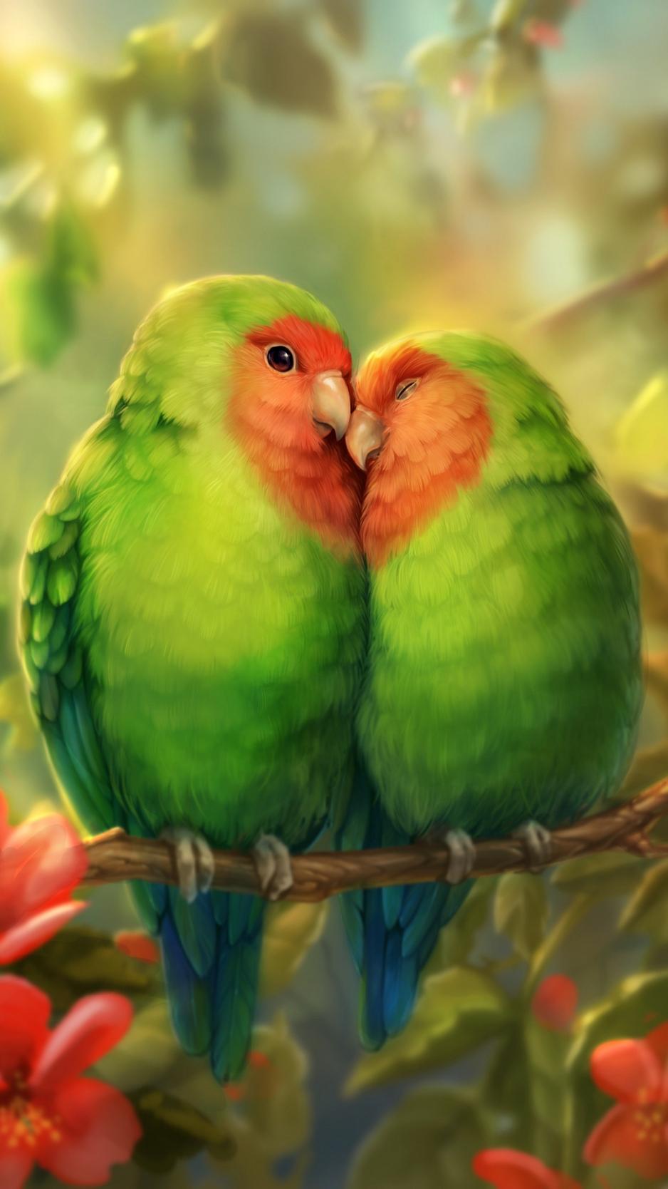 Download wallpaper 938x1668 parrots, birds, romance, cute