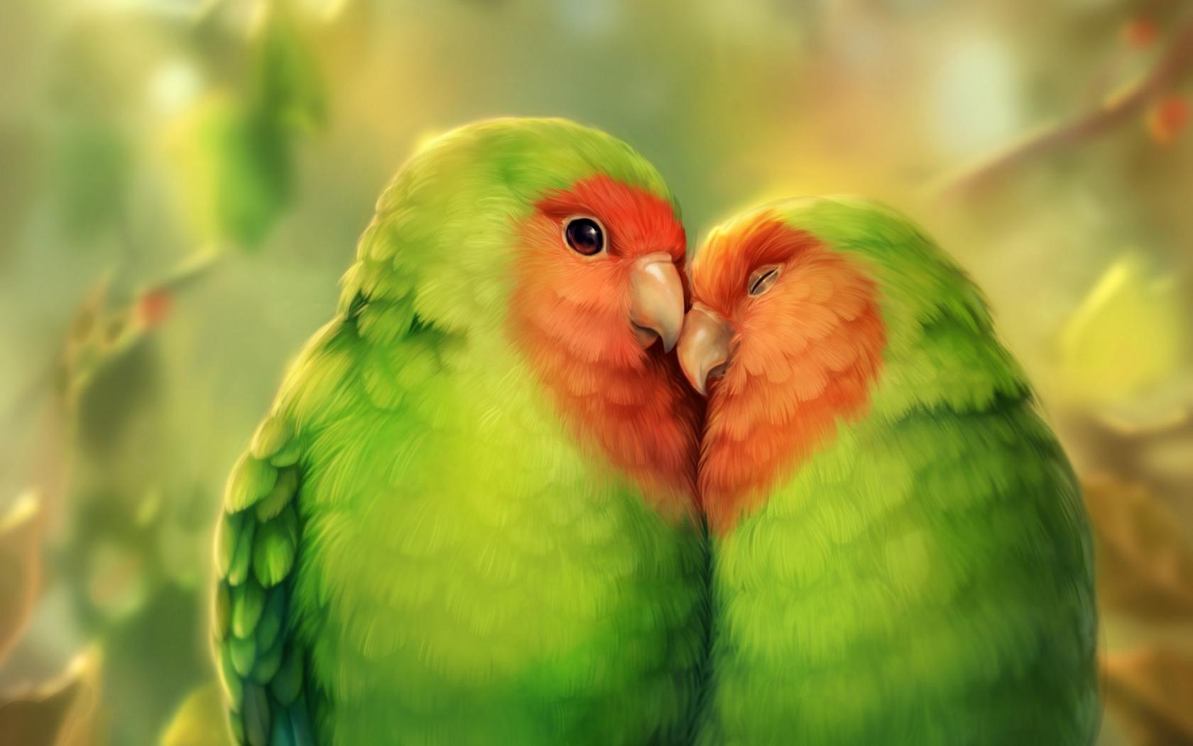 Download wallpaper 1680x1050 parrots, birds, romance, cute