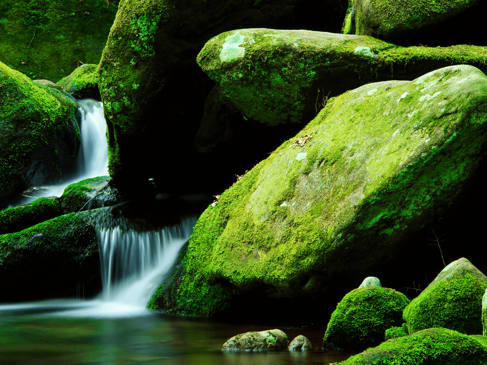 Cool Stream, Moss Covered Rocks