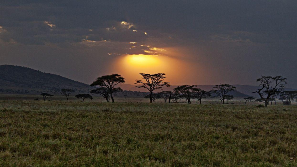 Africa Kenya savannah sunset sky clouds trees wallpaper
