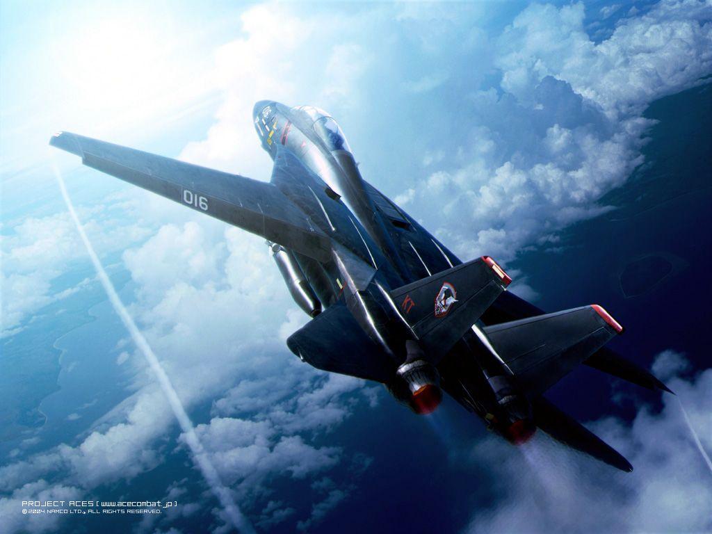 Ace Combat 5 Of Razgriz F 14. Fighter Planes, Fighter Jets, Fighter Aircraft