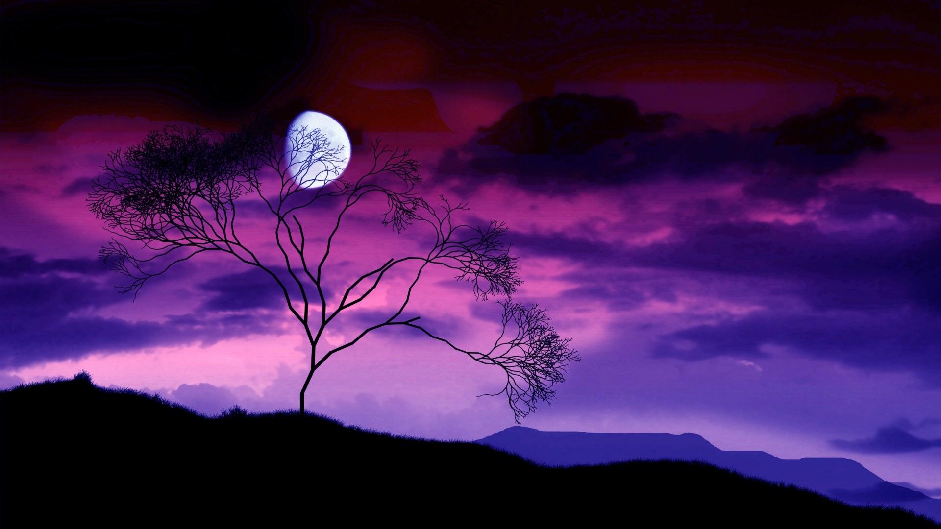 Blue Night And Moon Nature HD Wallpaper 1920 × 1080