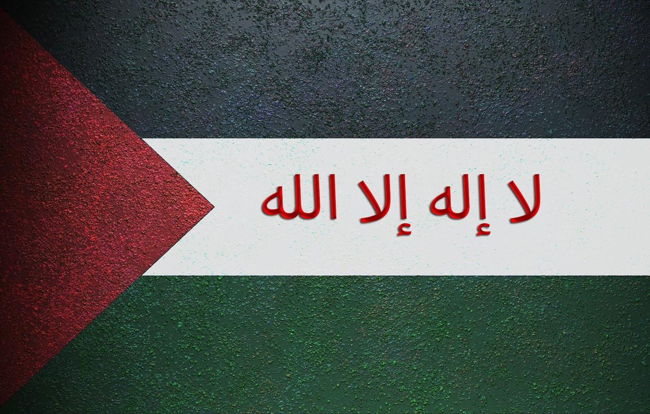 Wallpaper flag, Texture, gaza, palestine image for desktop