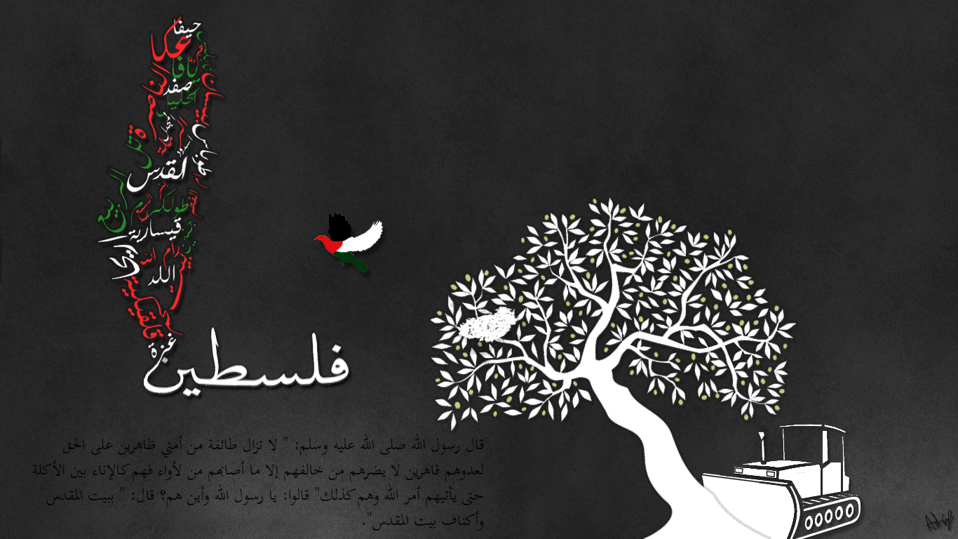 Free download Palestine by Sharoof [1366x768]