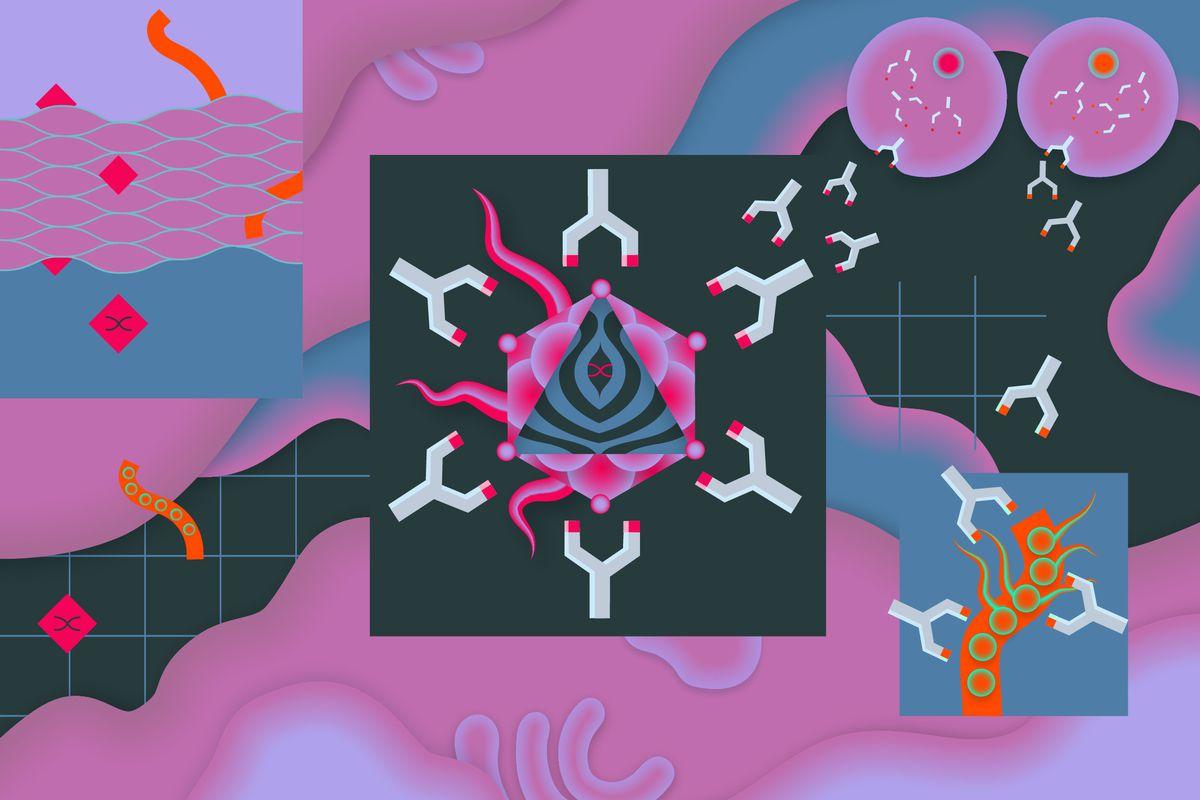 coronavirus wallpaper