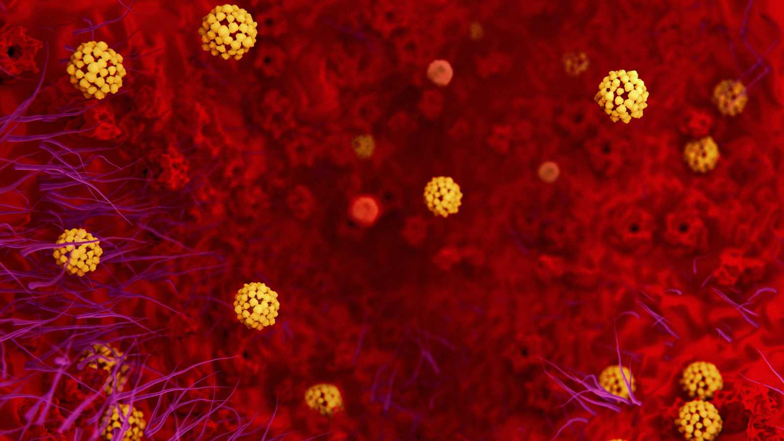 coronavirus wallpaper