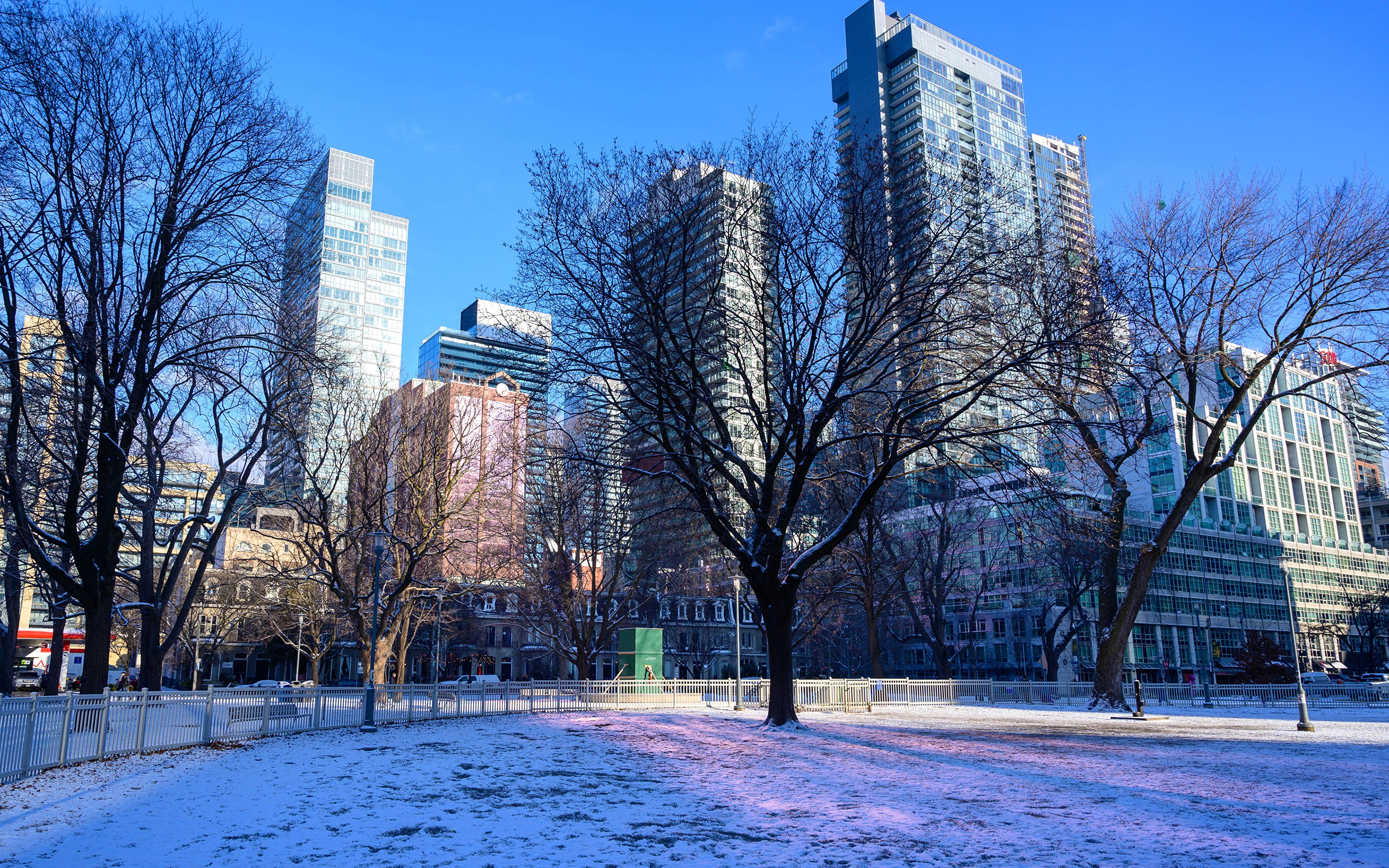 Photos Cities Canada Winter Toronto Snow Trees Building