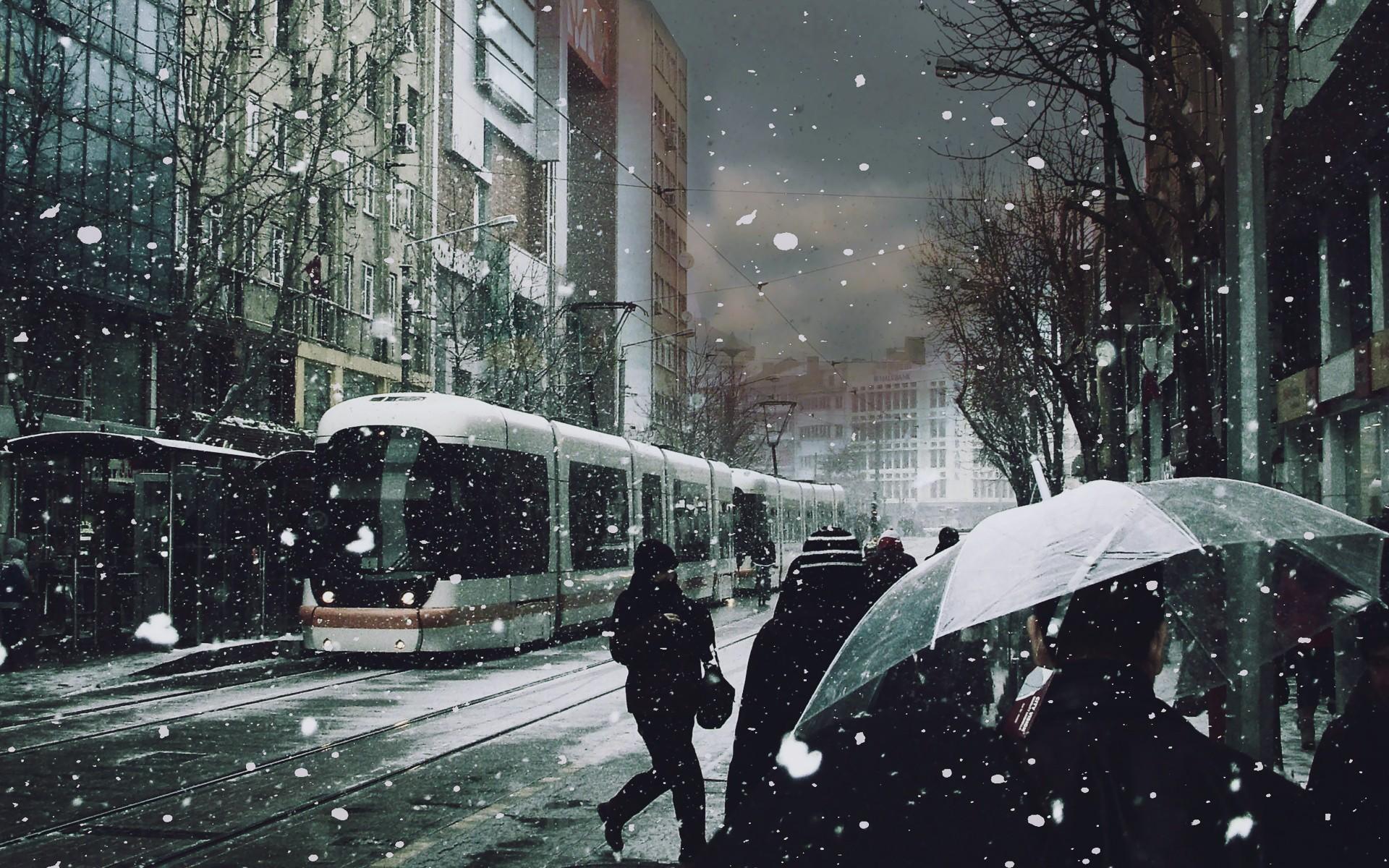 Winter (season) trees cityscapes streets tram roads snowing