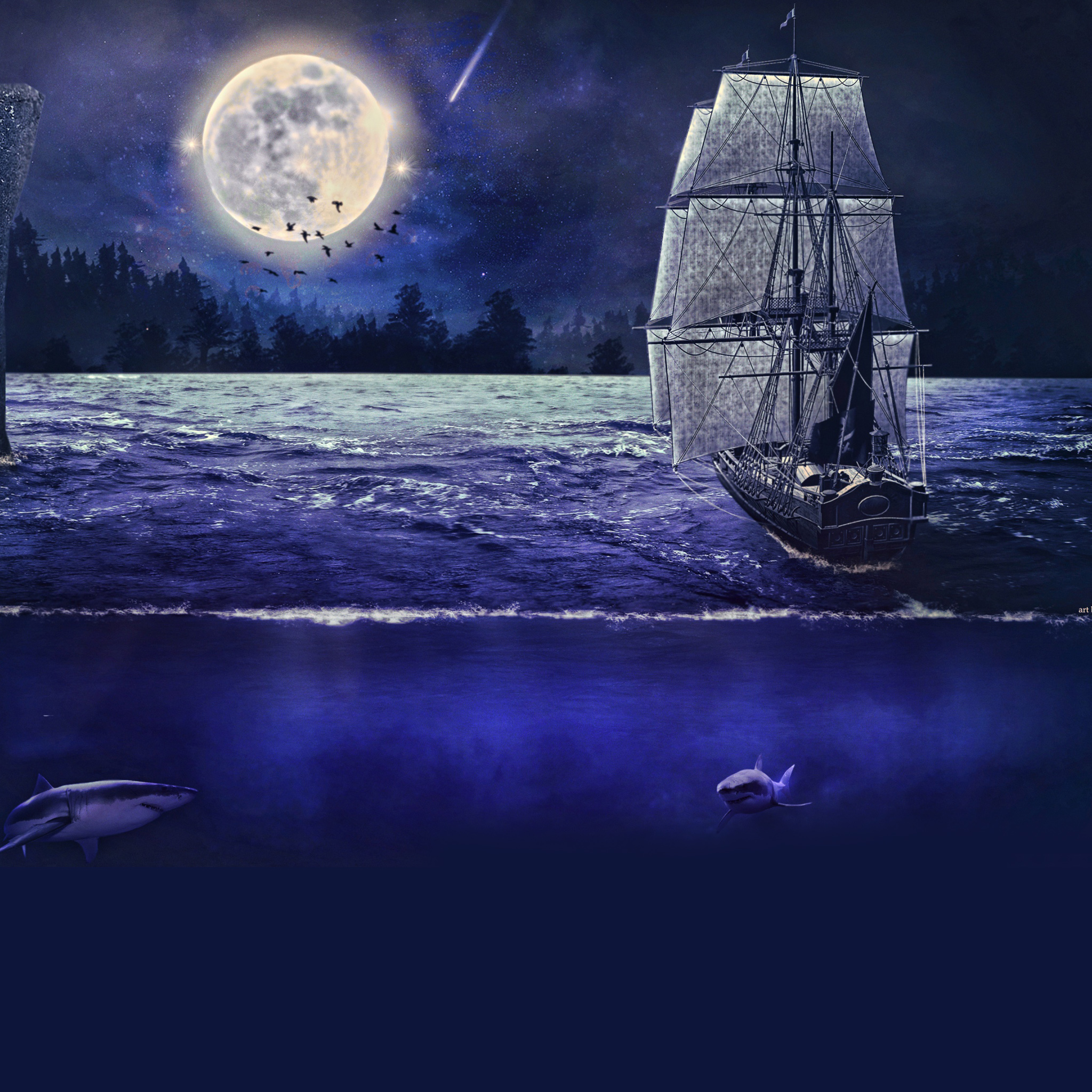 Moonlight sail iPad Air Wallpaper Free Download