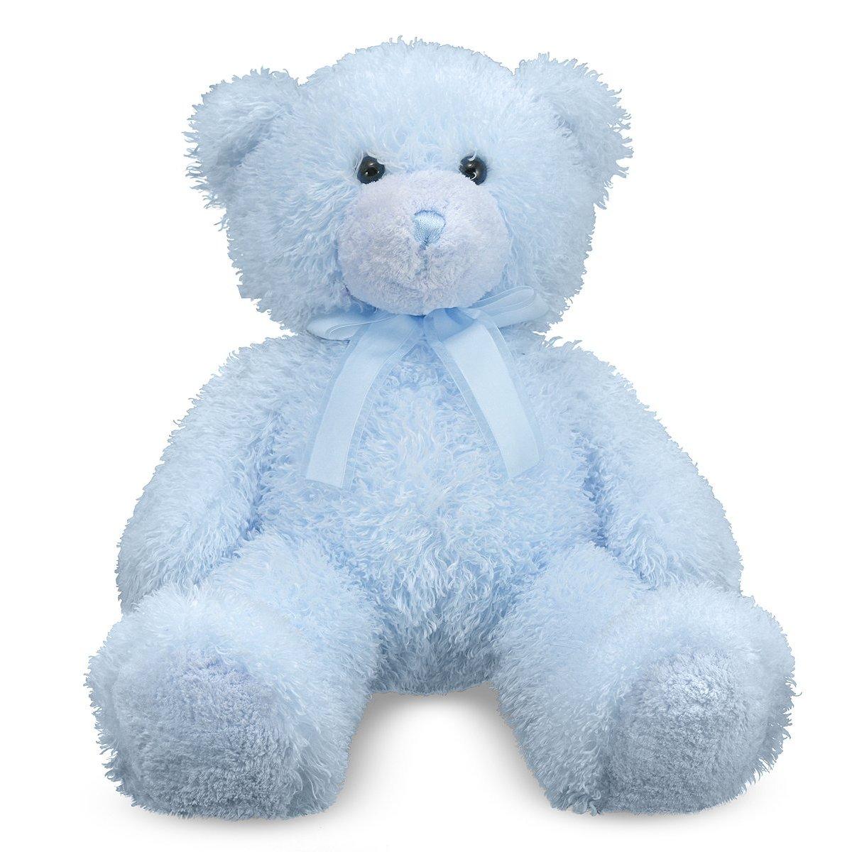 Teddy Bear (blue) Animals Photo