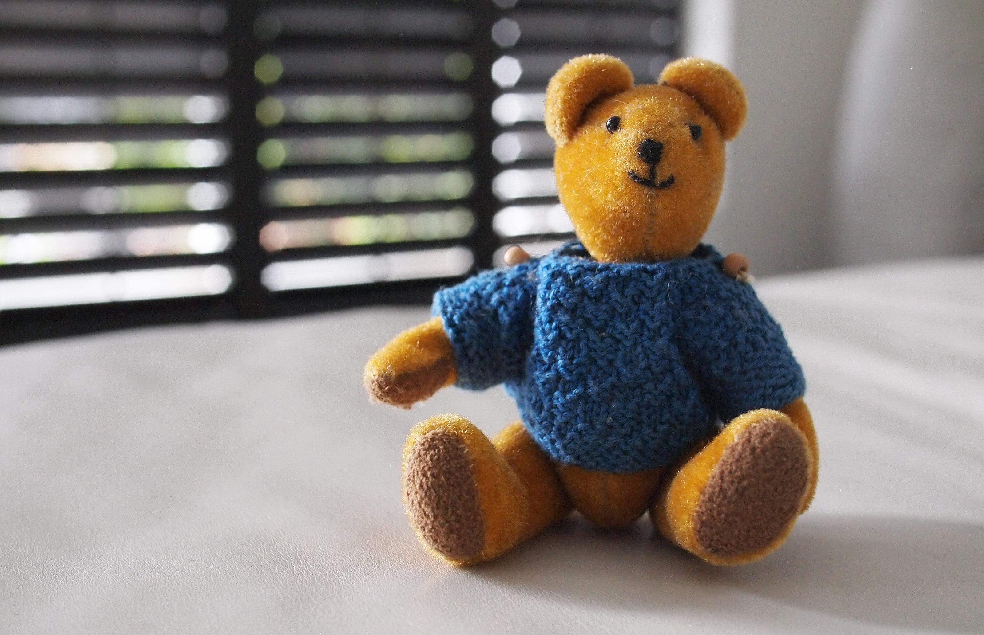 Brown and blue teddy bear HD wallpaper