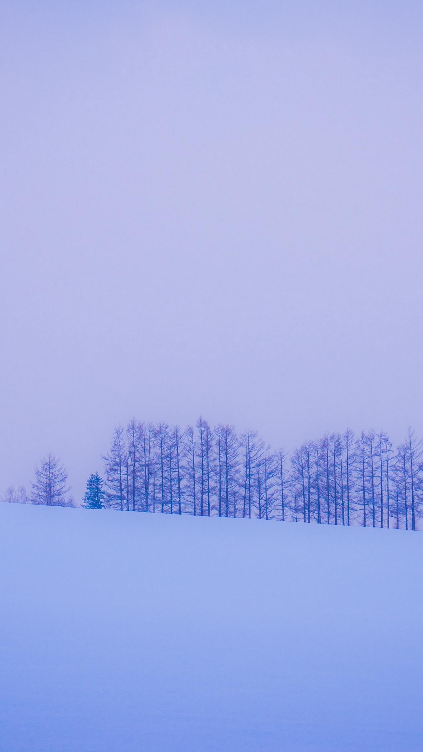 Download wallpaper 1350x2400 trees, snow, winter, minimalism