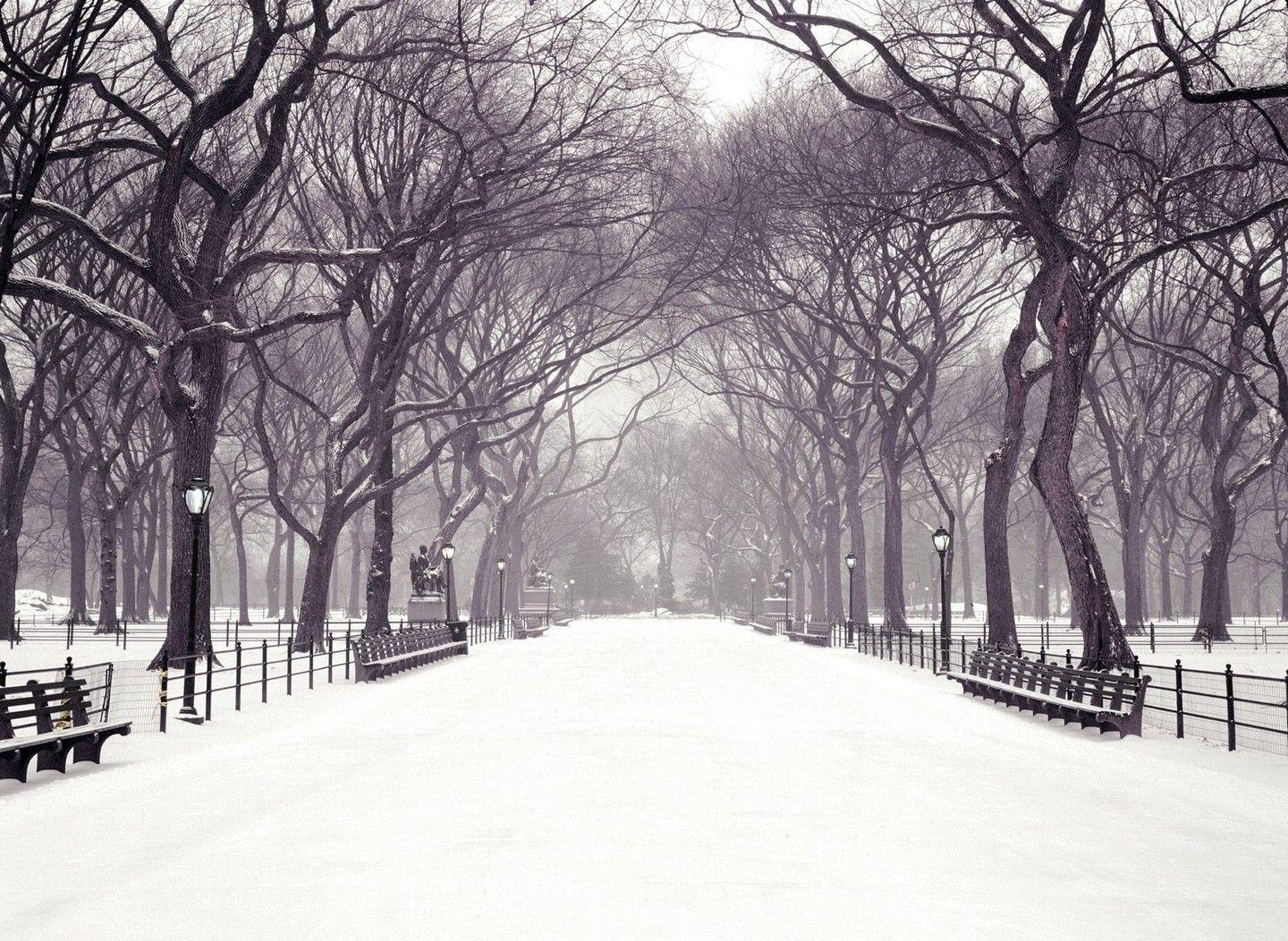 Winter in Central Park New York Wallpaper Free Winter