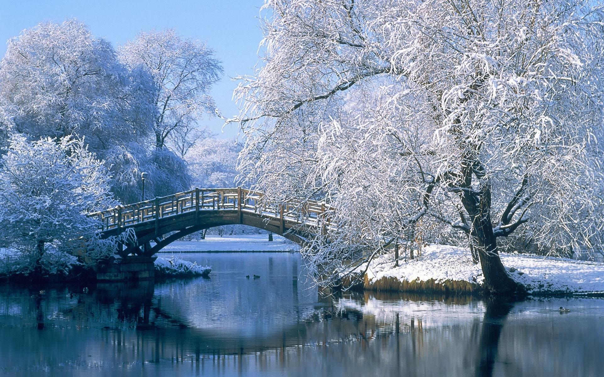 Winter Scenes Wallpaper