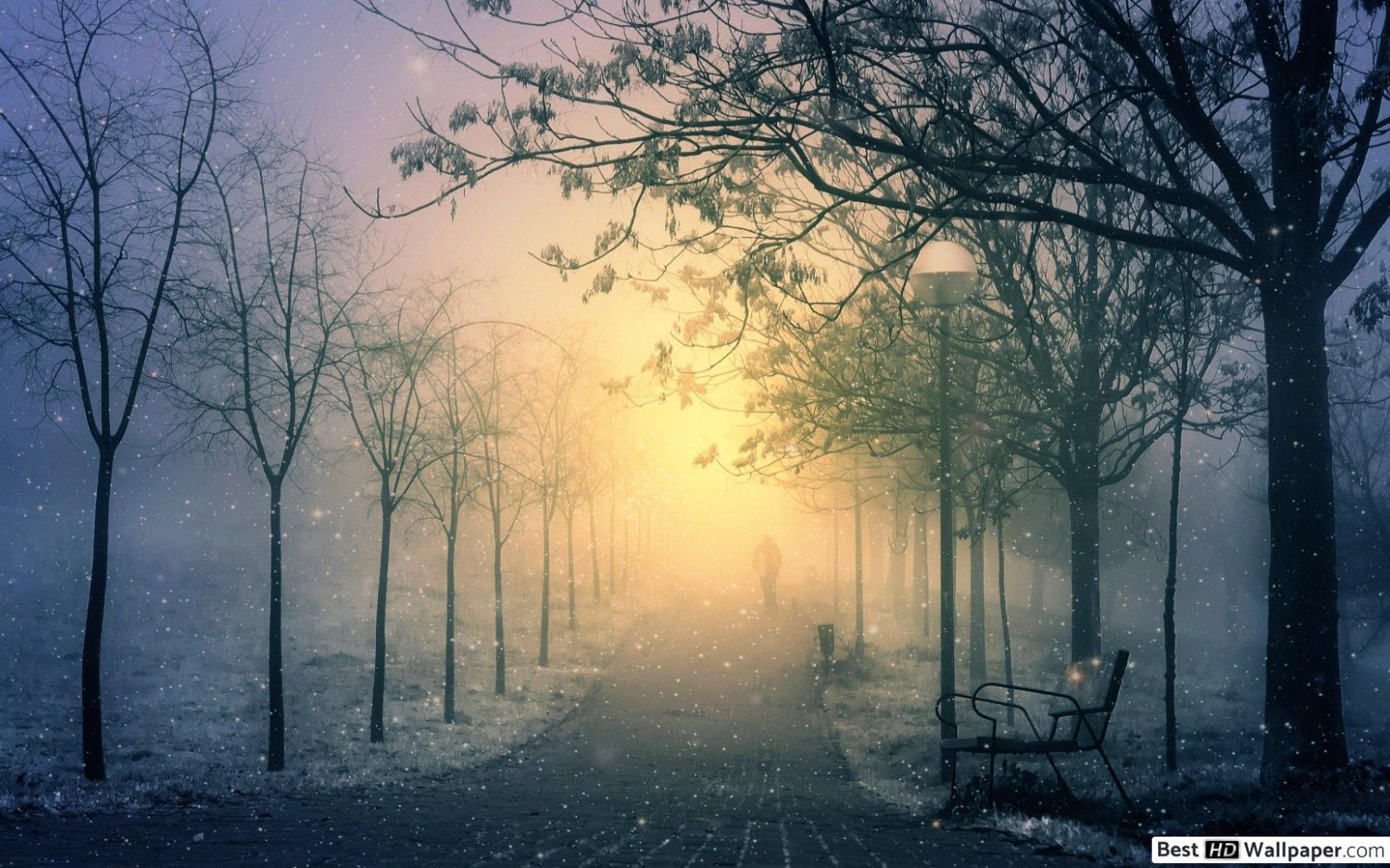 Man walking alone in winter park HD wallpaper download