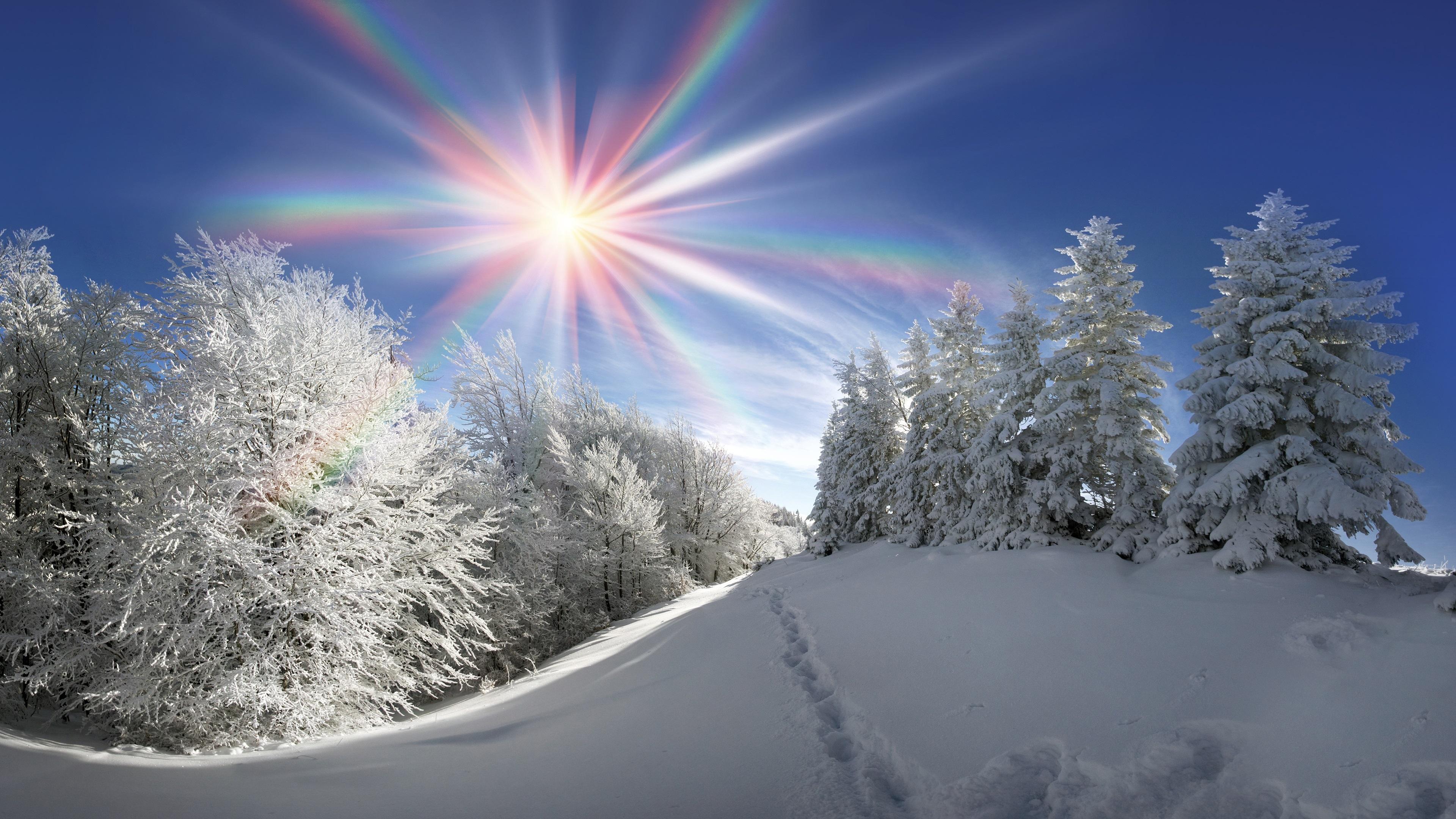 Wallpapers Winter, thick snow, trees, sun rays, rainbow colors 3840x2160 UHD 4K Picture, Image