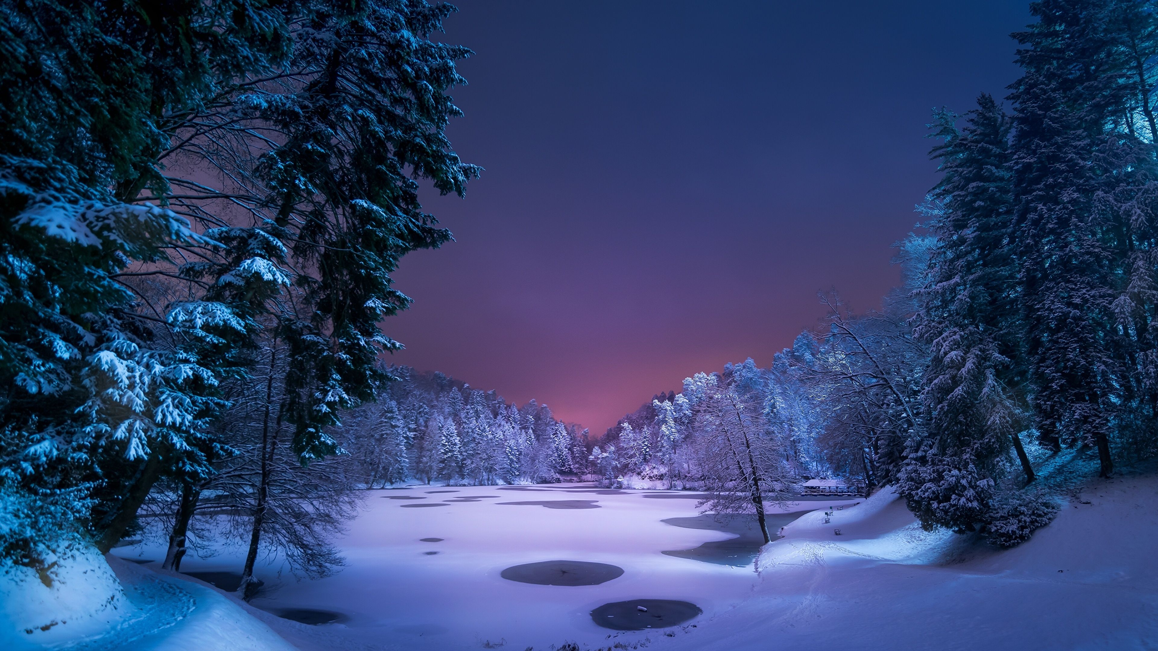 Winter Snow Forest Wallpapers - Wallpaper Cave
