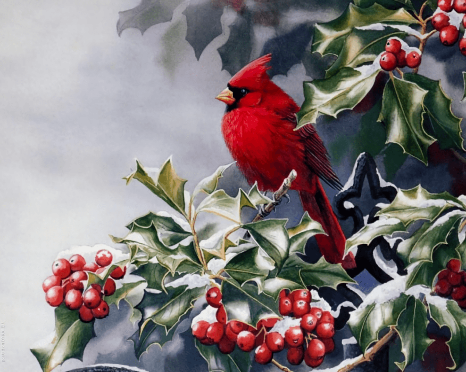 Cardinal in Winter HD Wallpaper. Background Image