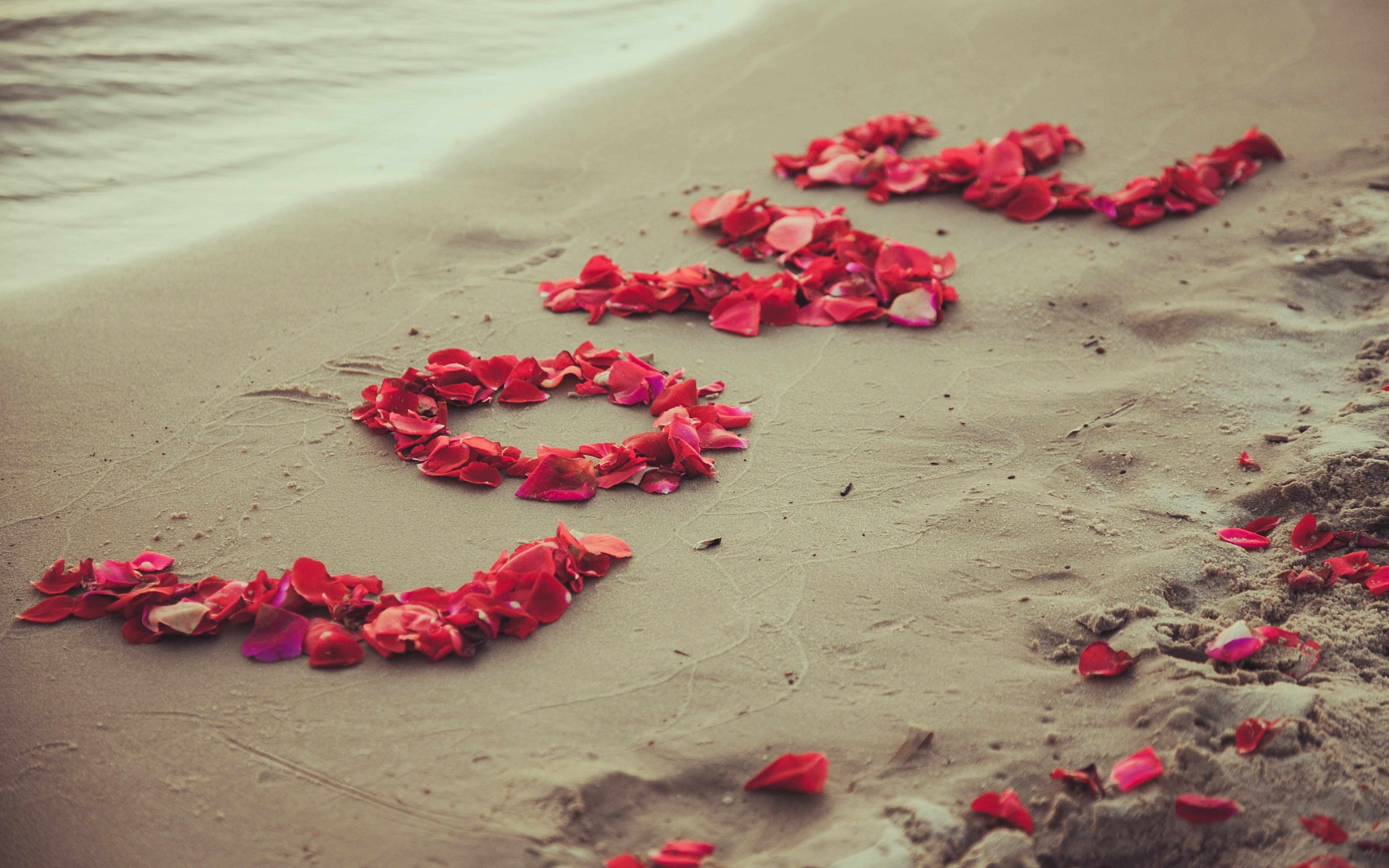 Sweet Romantic Petals Love Wallpaper - [5120x3200]
