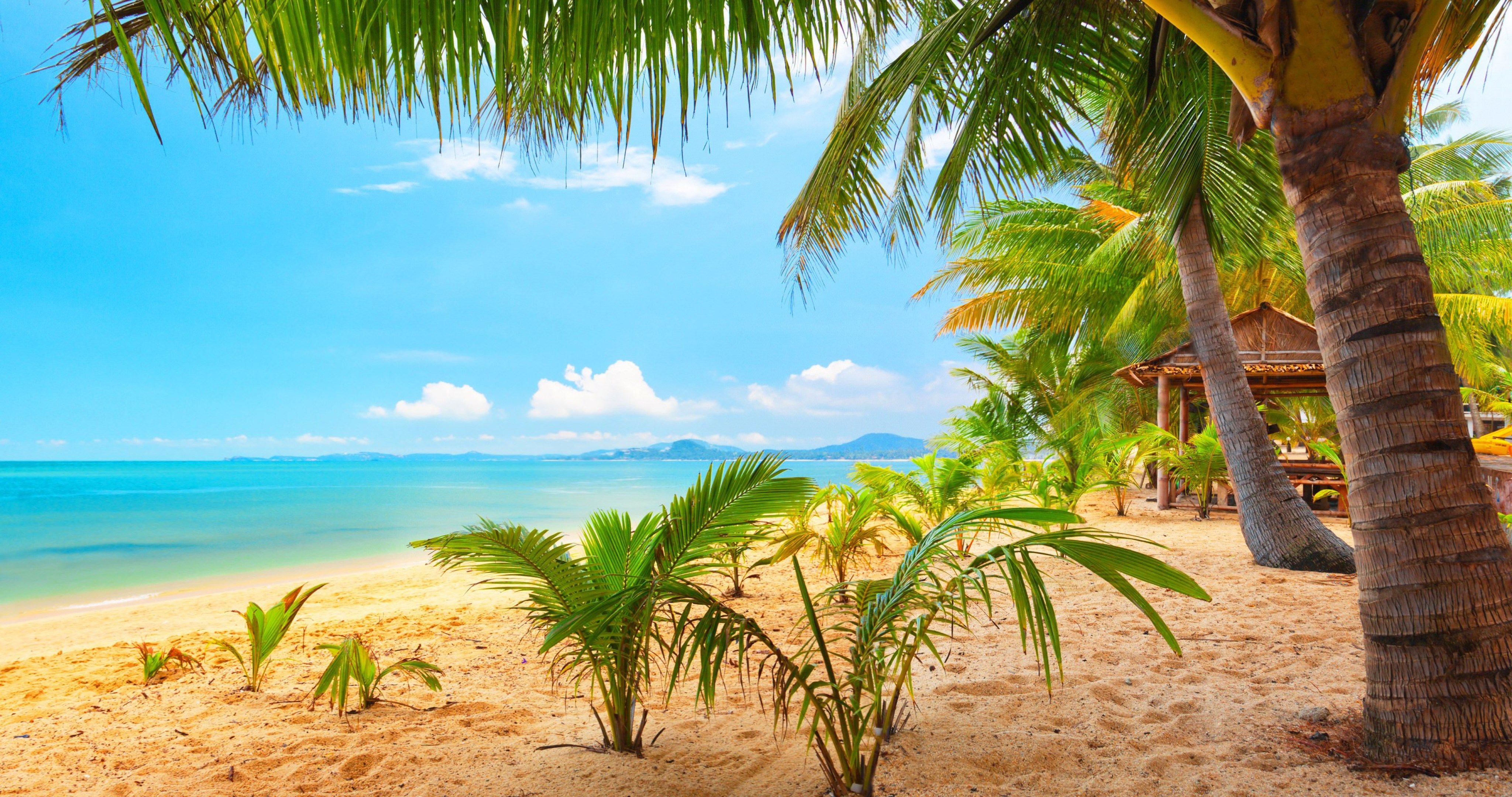 Summer desktop wallpaper laptop computer background 4k HD 1080p