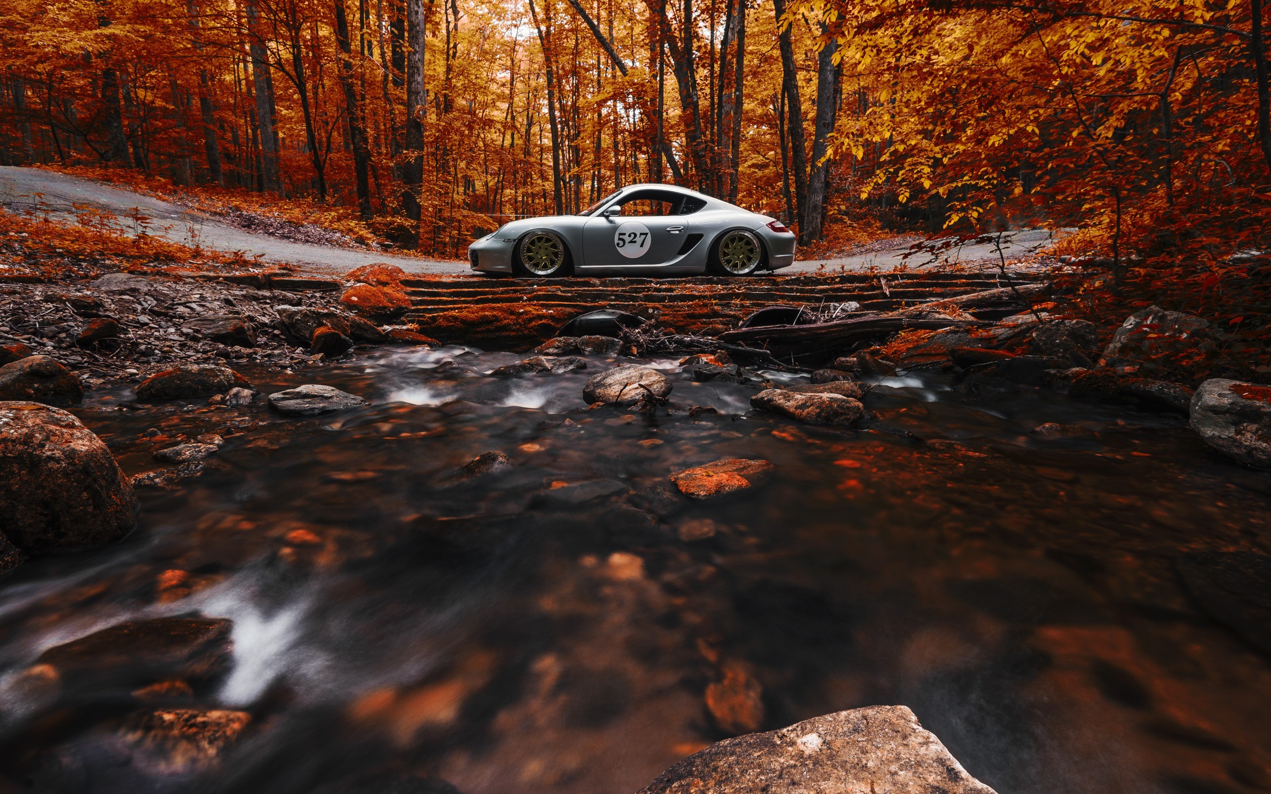 nature, Car, Trees, Forest, Fall, Vehicle, Leaves, Long Exposure, Stream, Stones, Road, Rock, Porsche Cayman, Sports Car, Side View Wallpaper HD / Desktop and Mobile Background