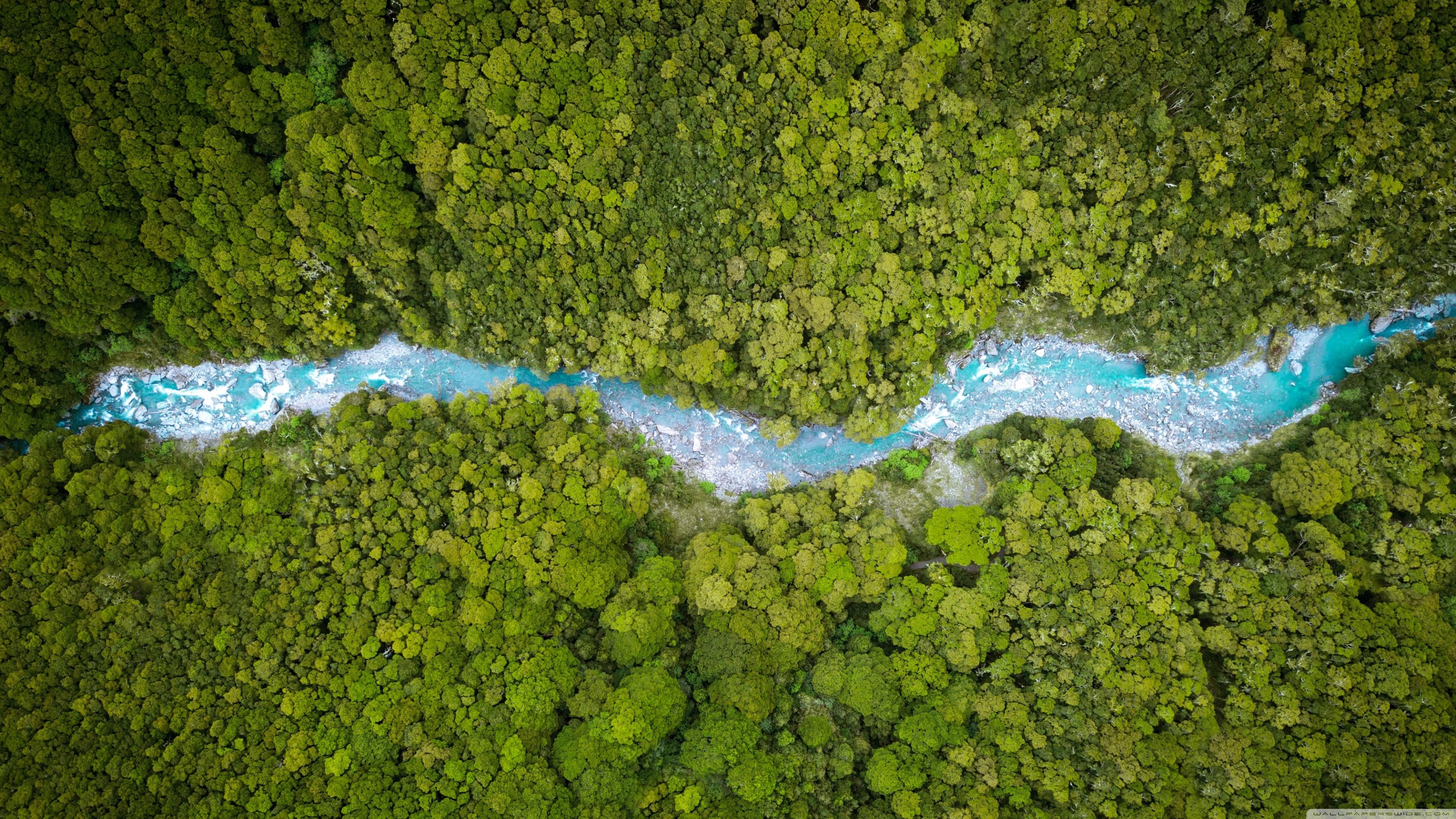 Aerial View, Forest Creek, Summer, Nature Ultra HD Desktop