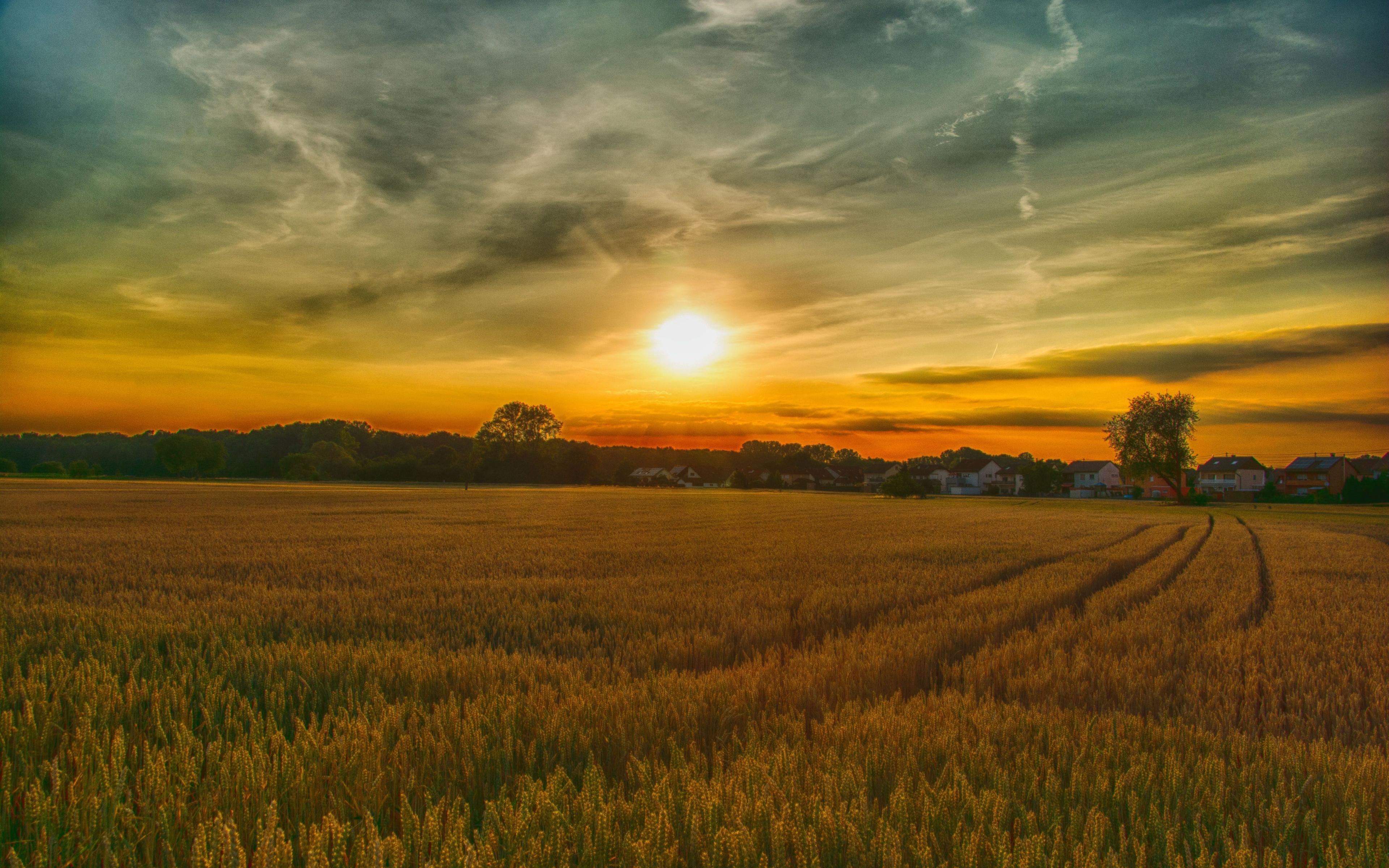 Download 3840x2400 wallpaper summer, sunset, farm, landscape