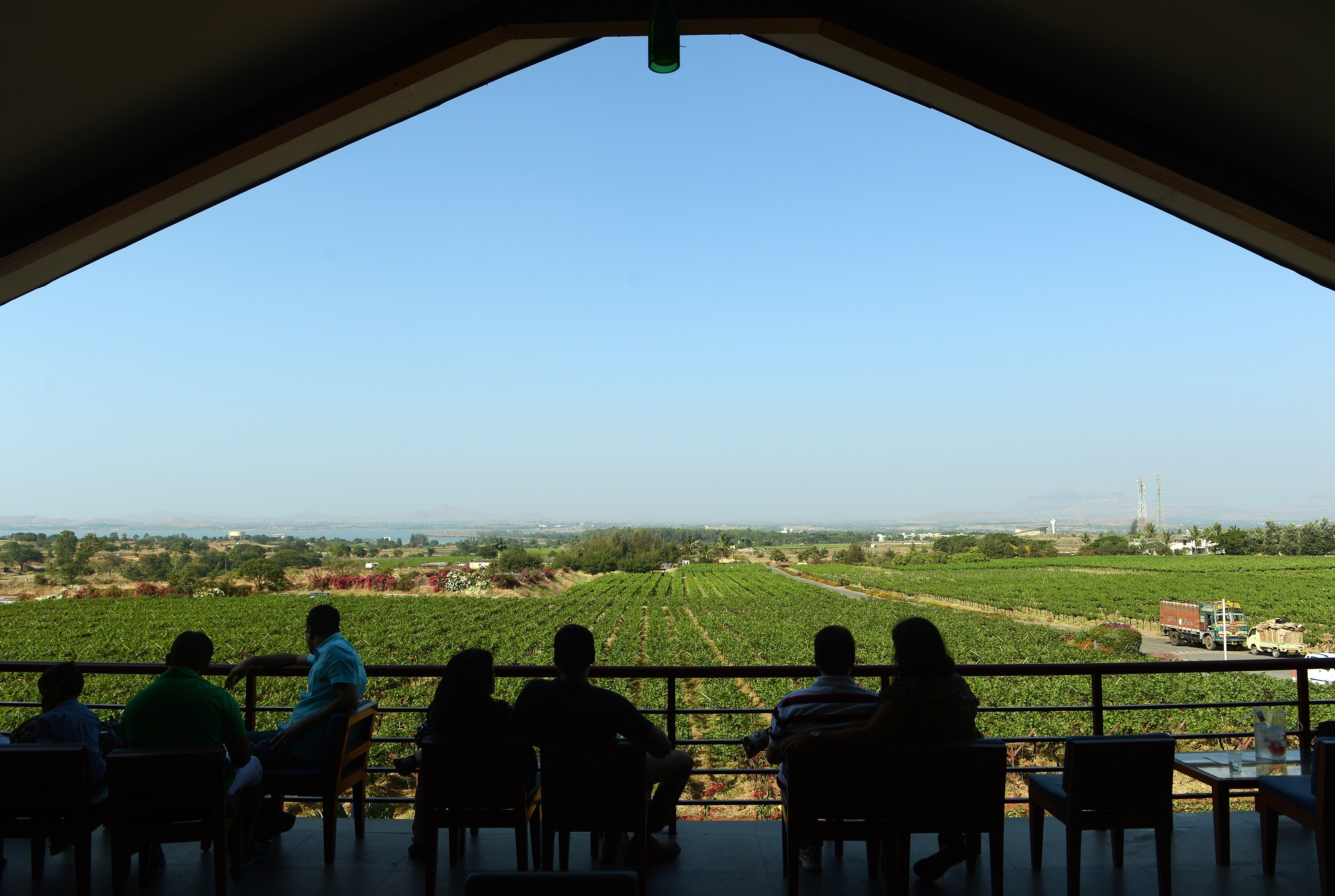Visit Nashik, 'Wine Capital of India, ' and Sula Vineyards